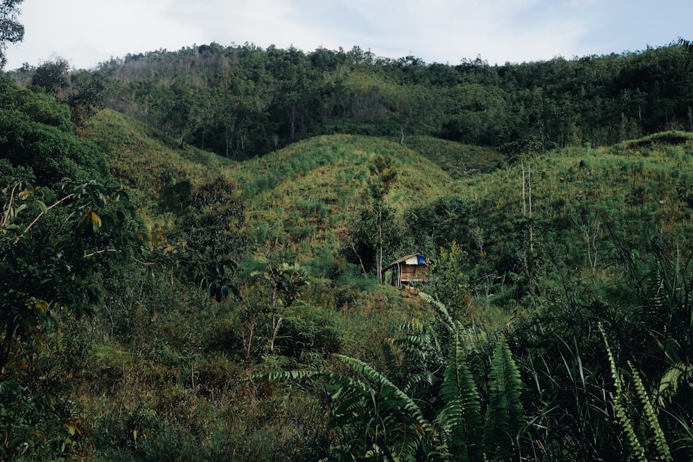 a small hut in the middle of a lush green hillside