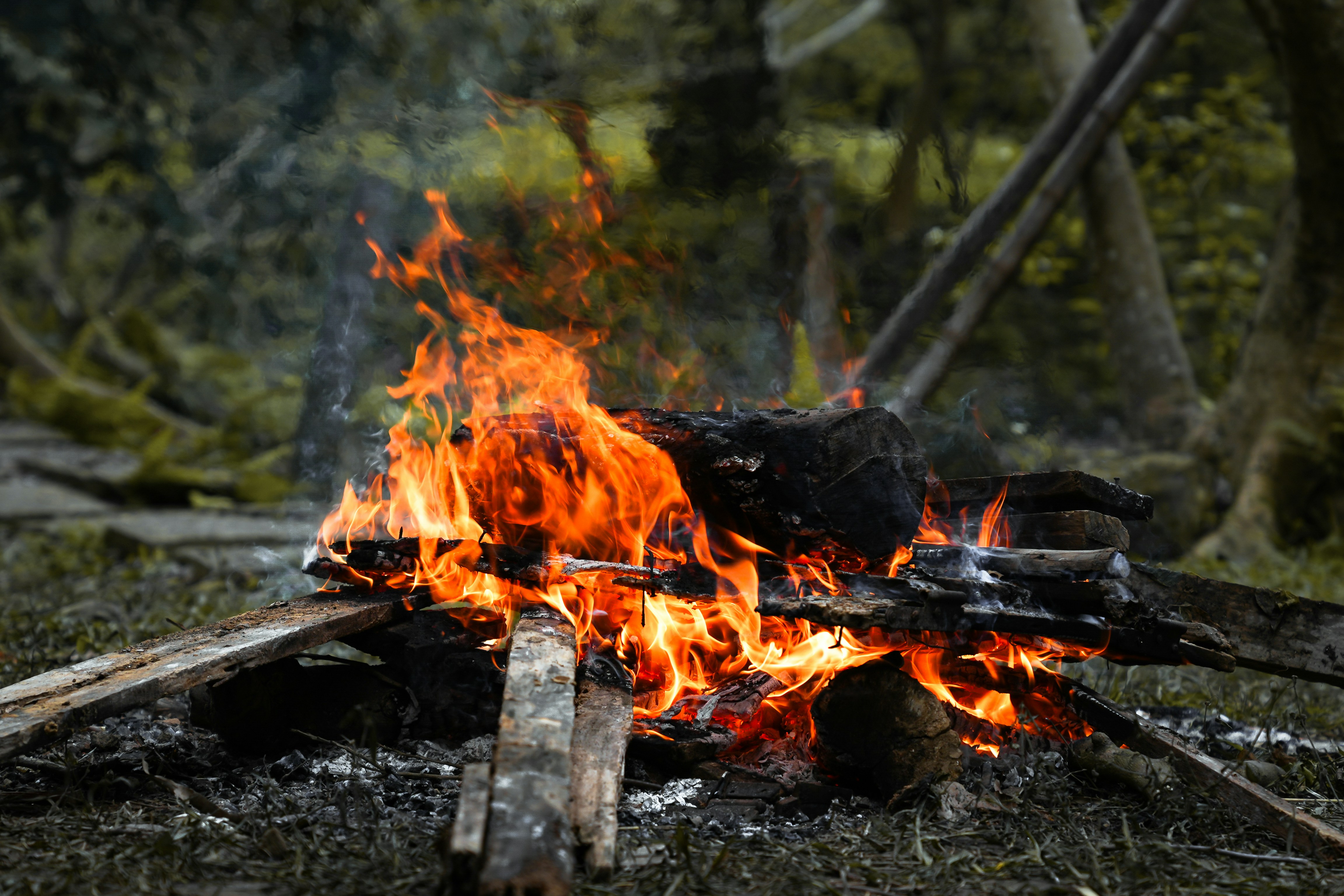 a fire burning in a forest filled with lots of logs