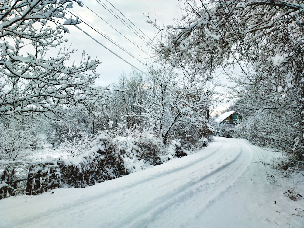 a snow covered road surrounded by trees and power lines