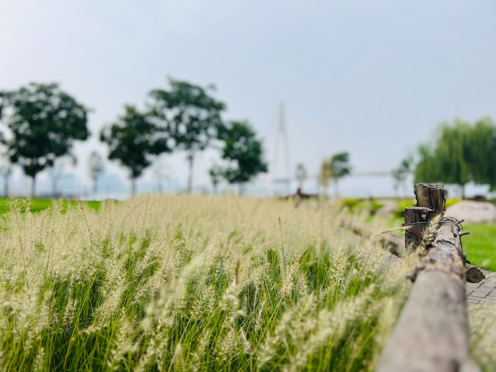 a wooden fence in a grassy field with trees in the background