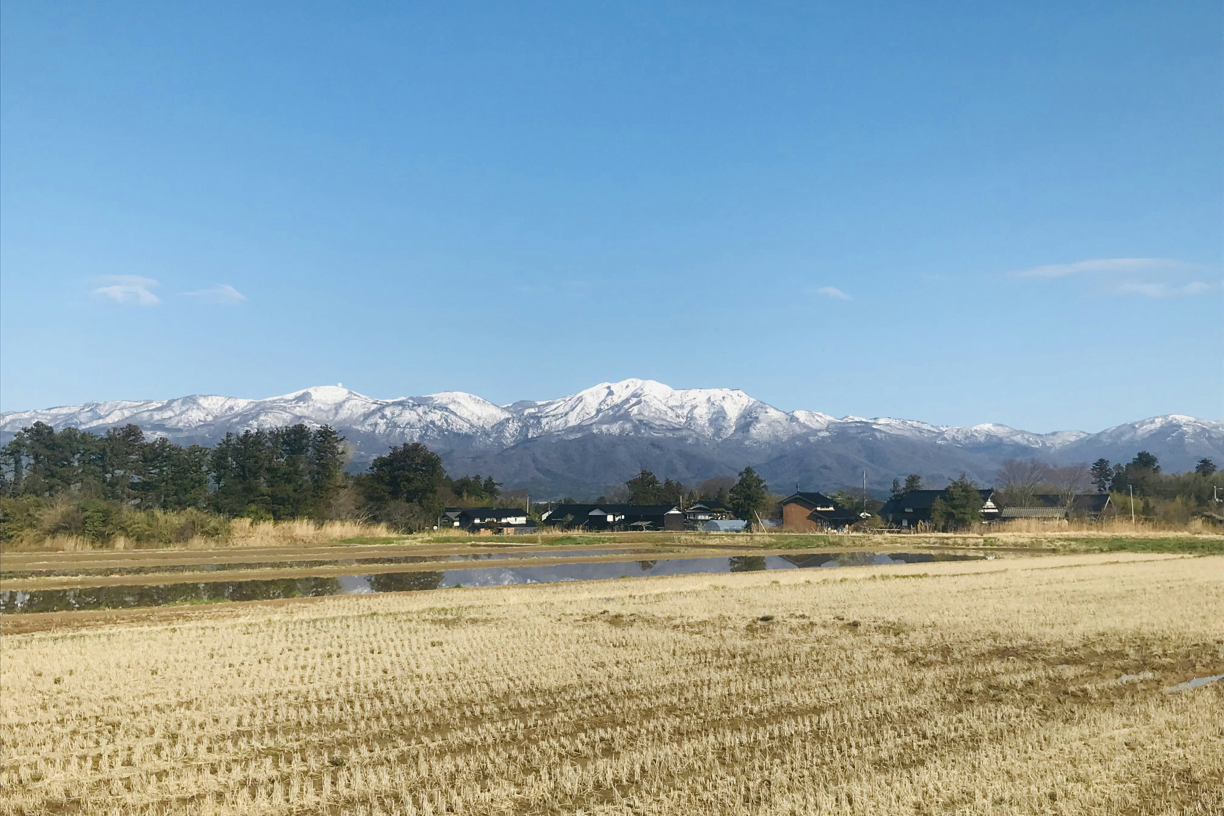 a large field with snow covered mountains in the background