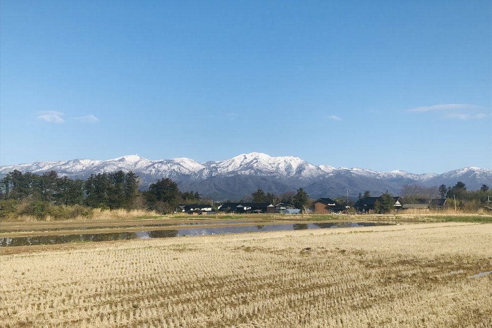 a large field with snow covered mountains in the background