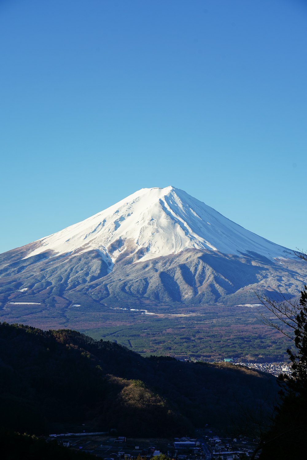 a snow covered mountain in the distance with trees in the foreground