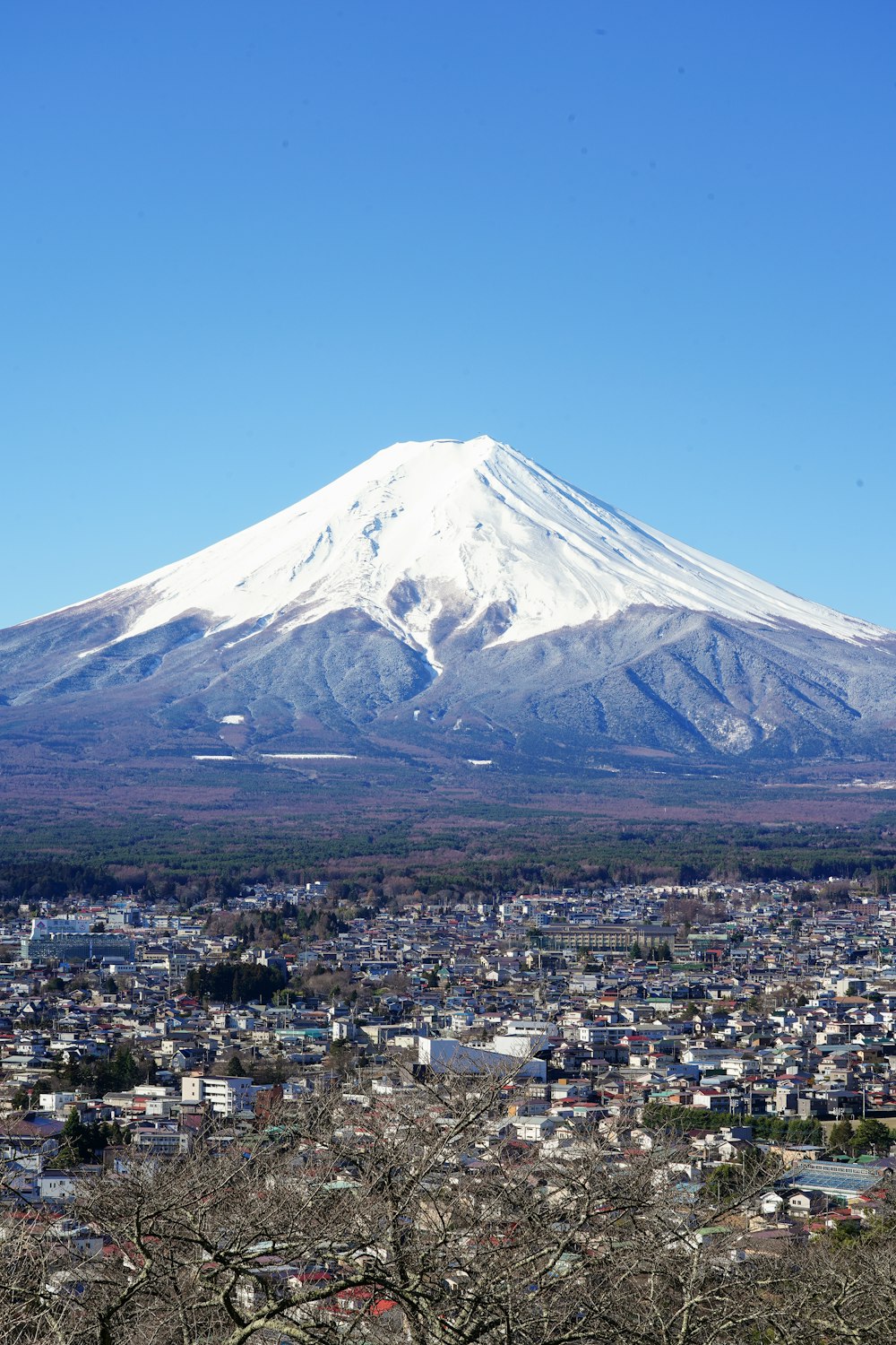 a large snow covered mountain towering over a city