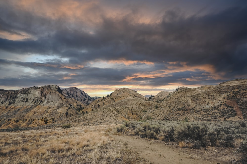 a dirt road in the middle of a desert