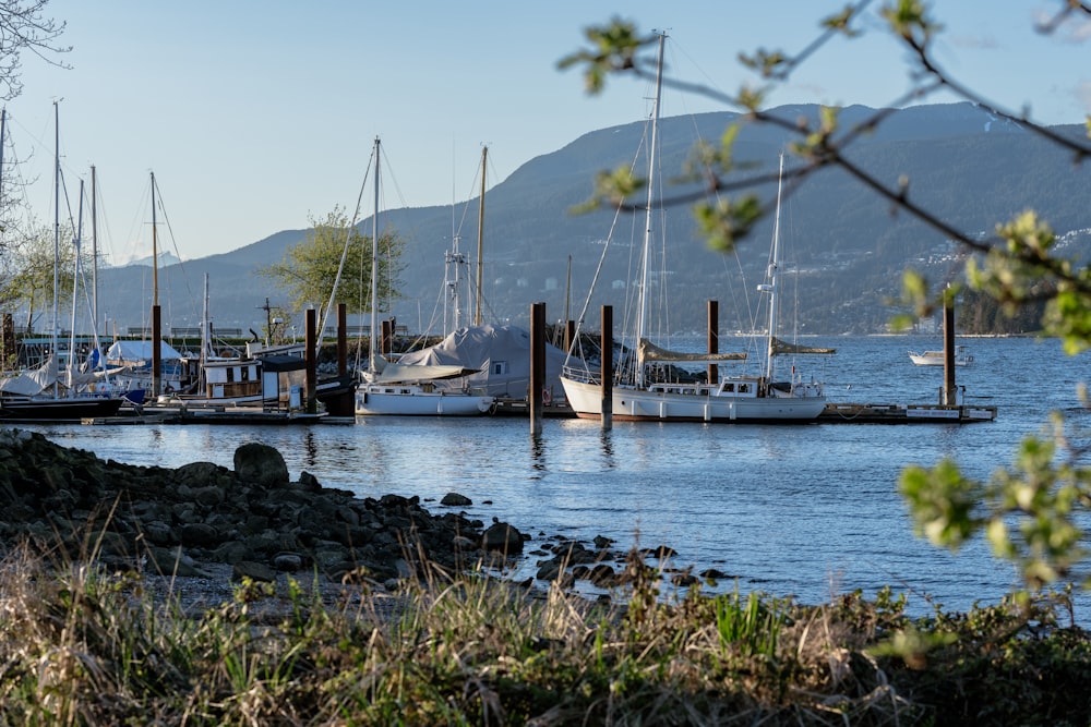 a bunch of boats that are sitting in the water