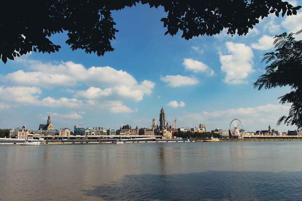 a view of a city with a ferris wheel in the distance