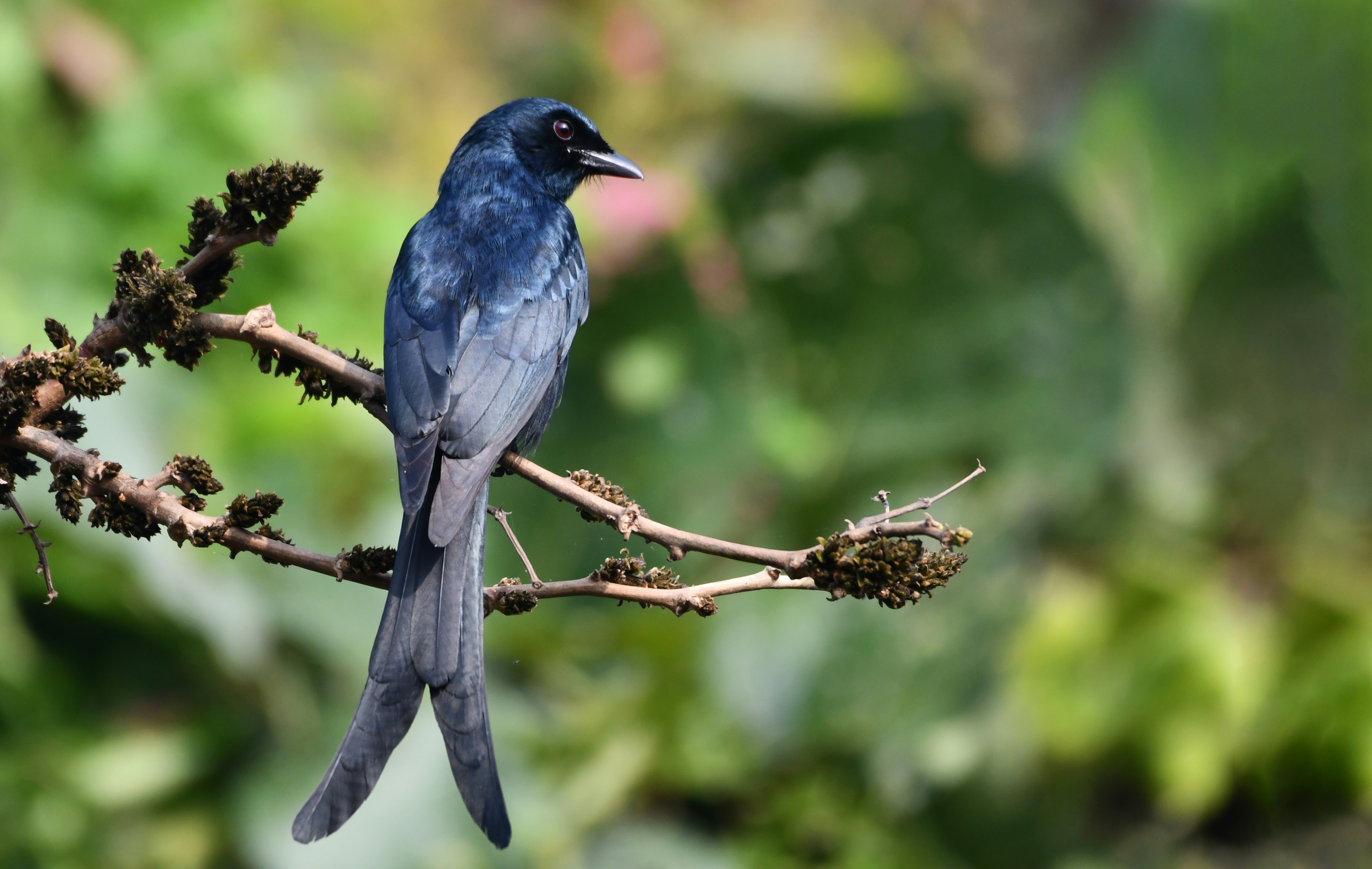 Photo by mhphotography13