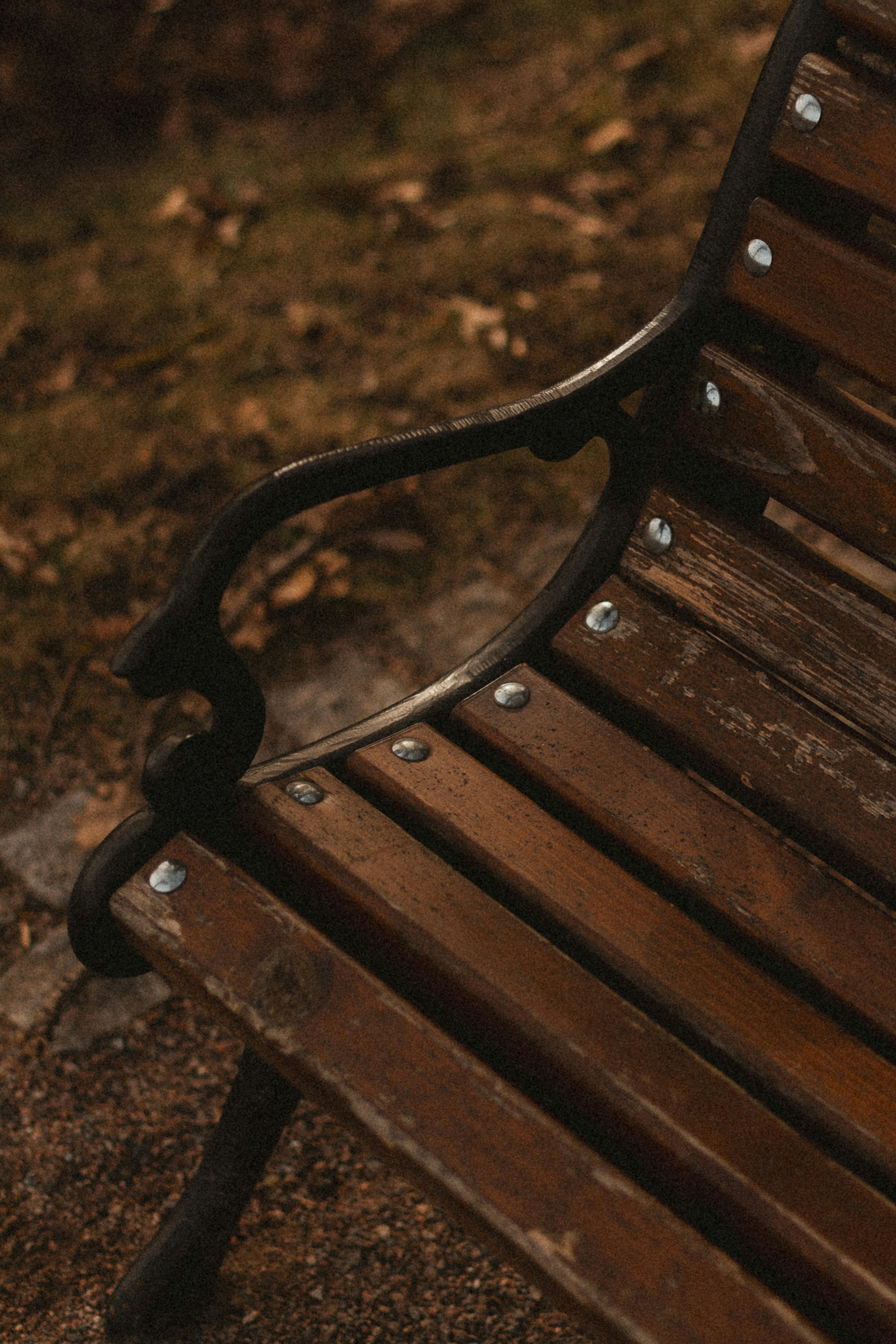 Photo by maximyuryshev