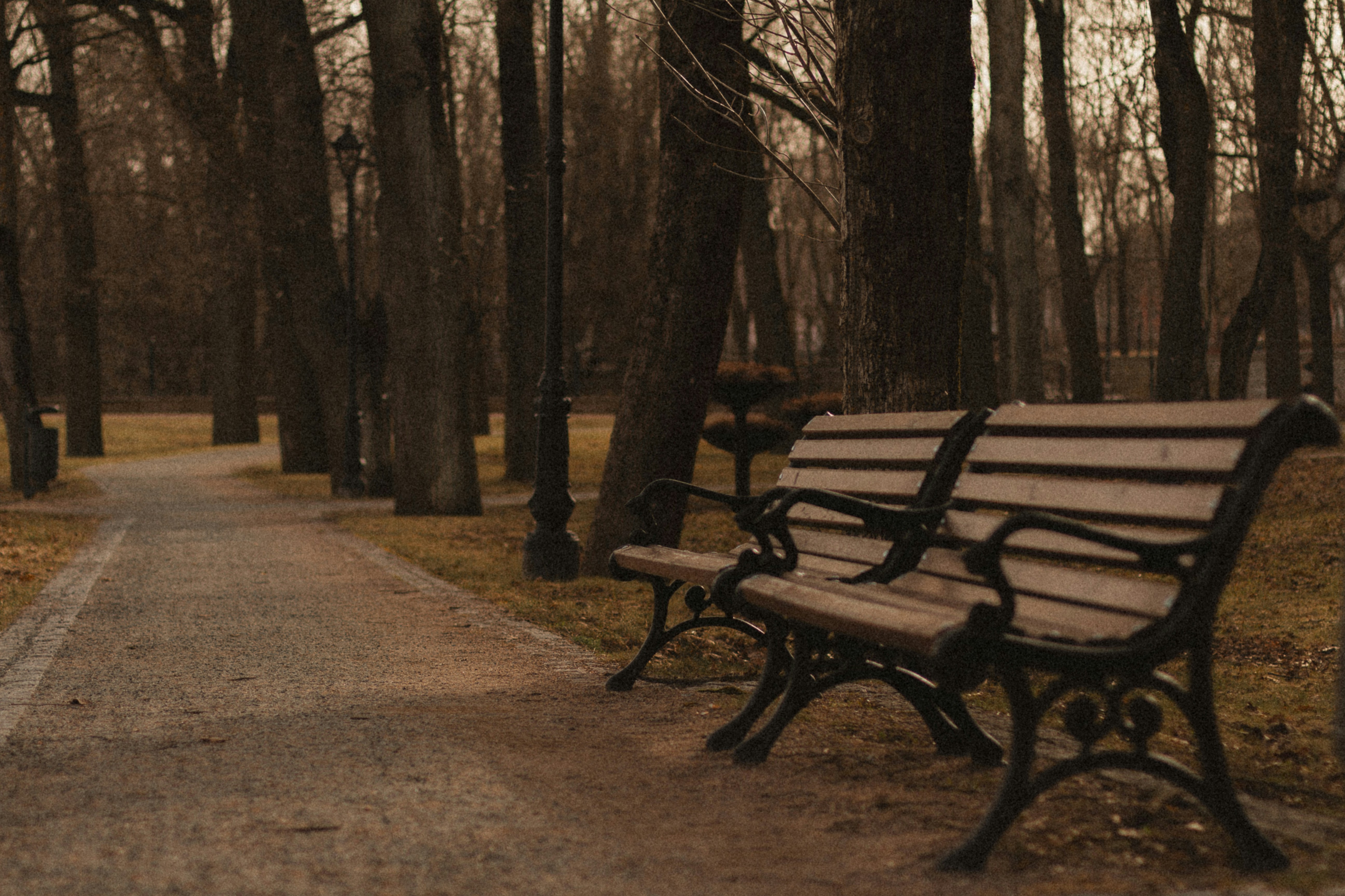 Photo by maximyuryshev