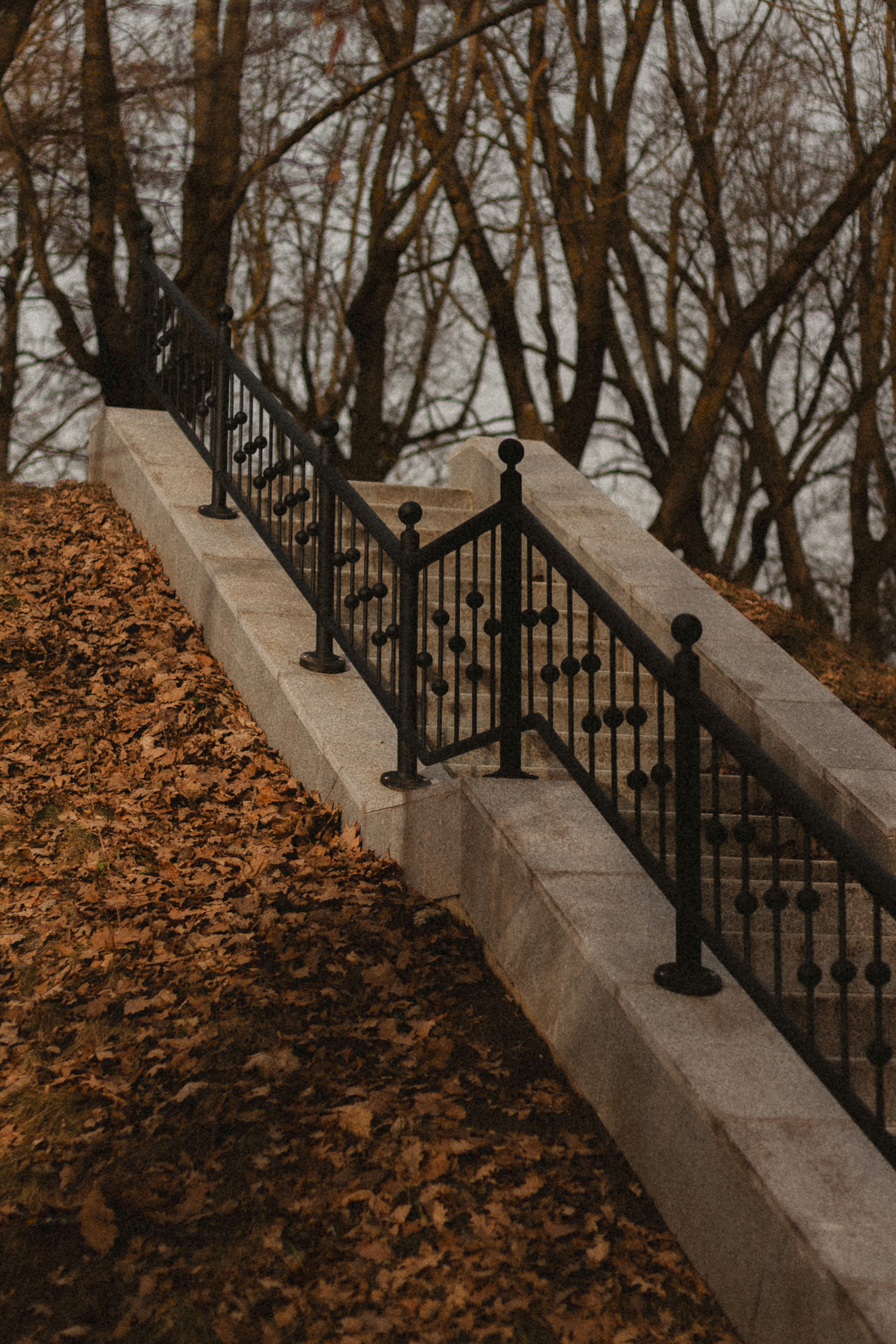 Photo by maximyuryshev