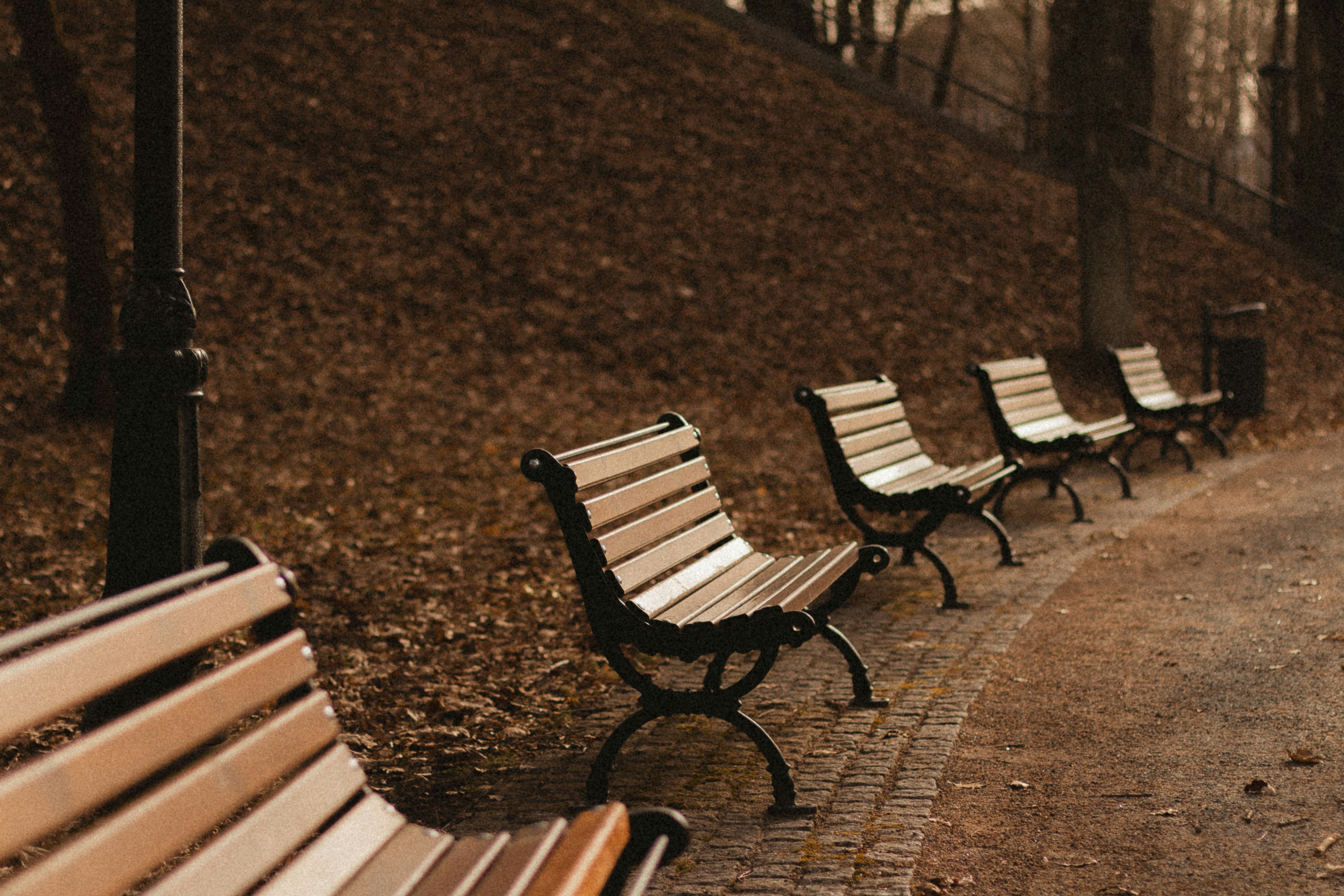 Photo by maximyuryshev