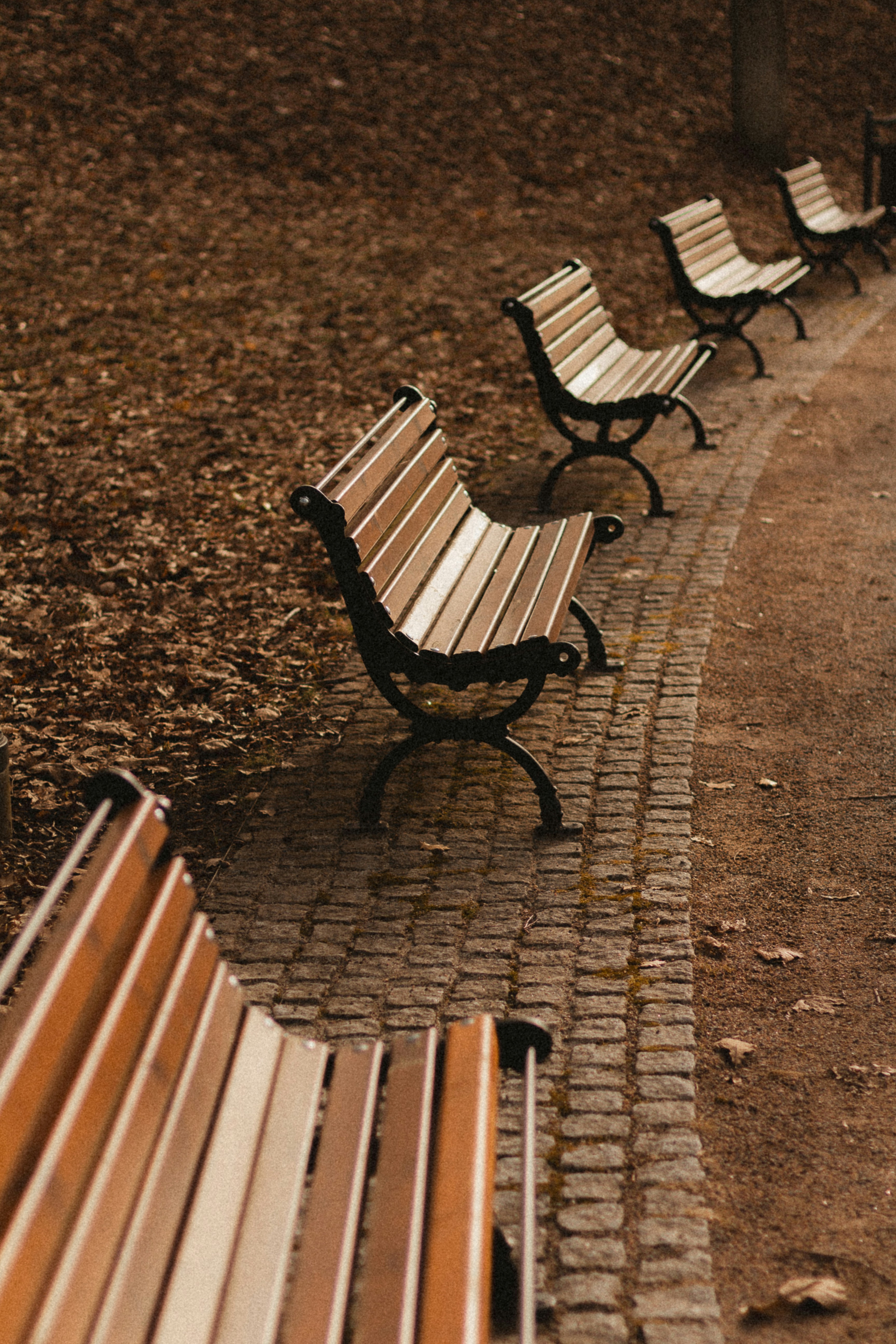 Photo by maximyuryshev