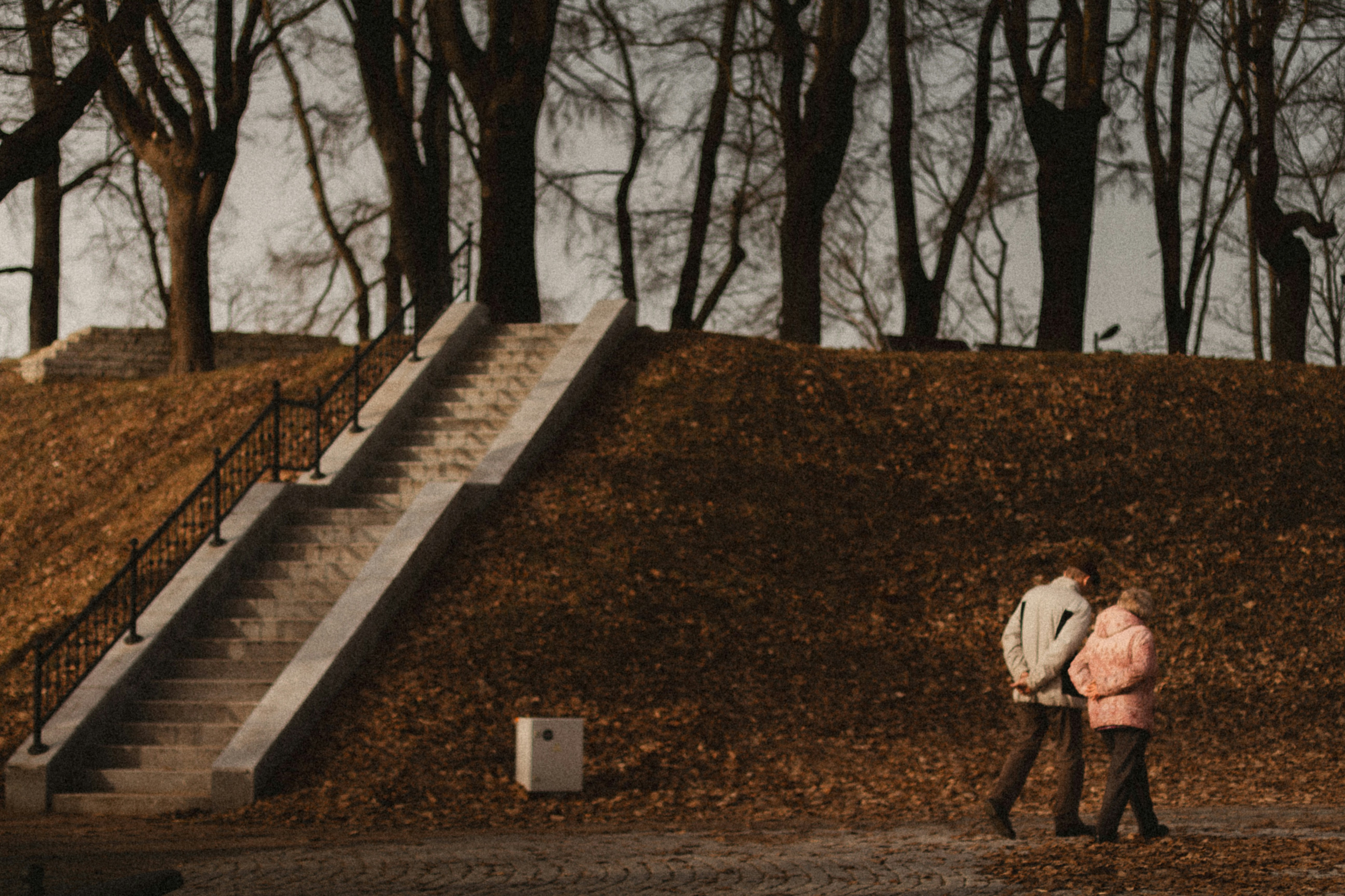 Photo by maximyuryshev