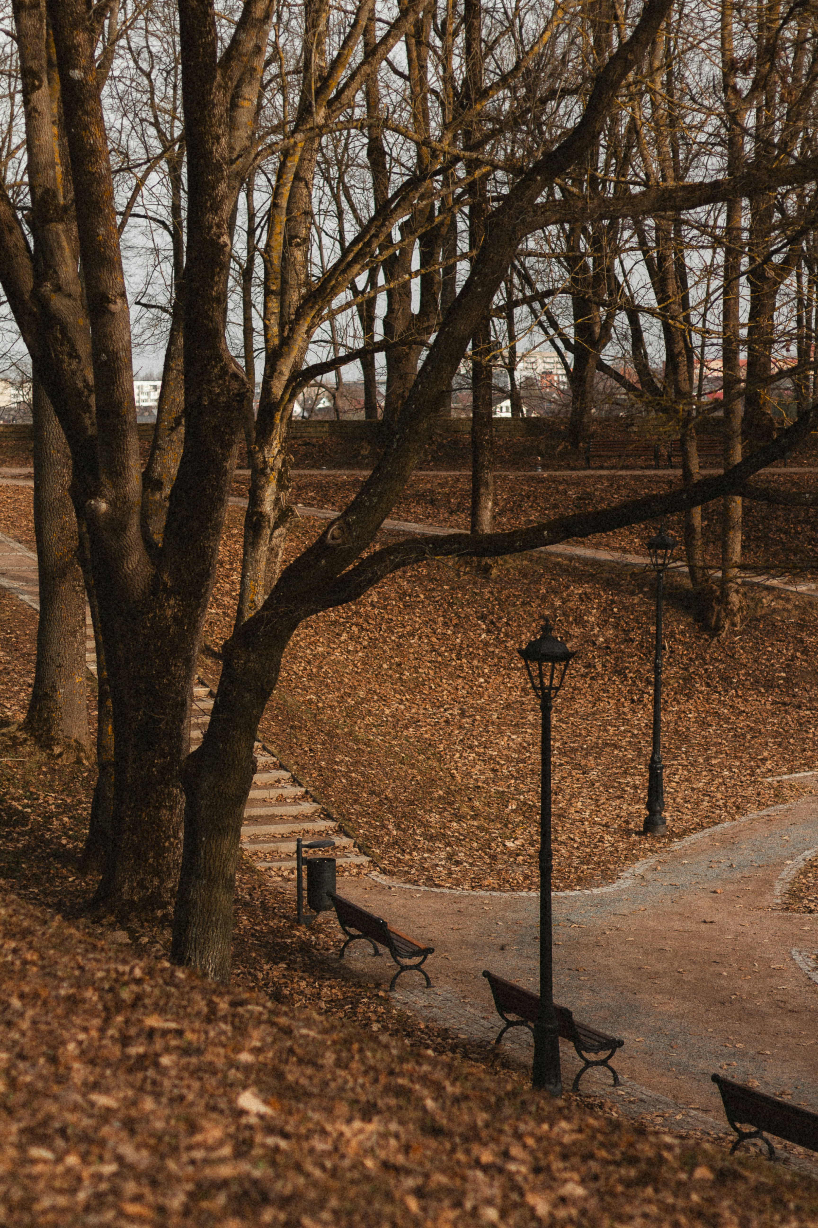 Photo by maximyuryshev