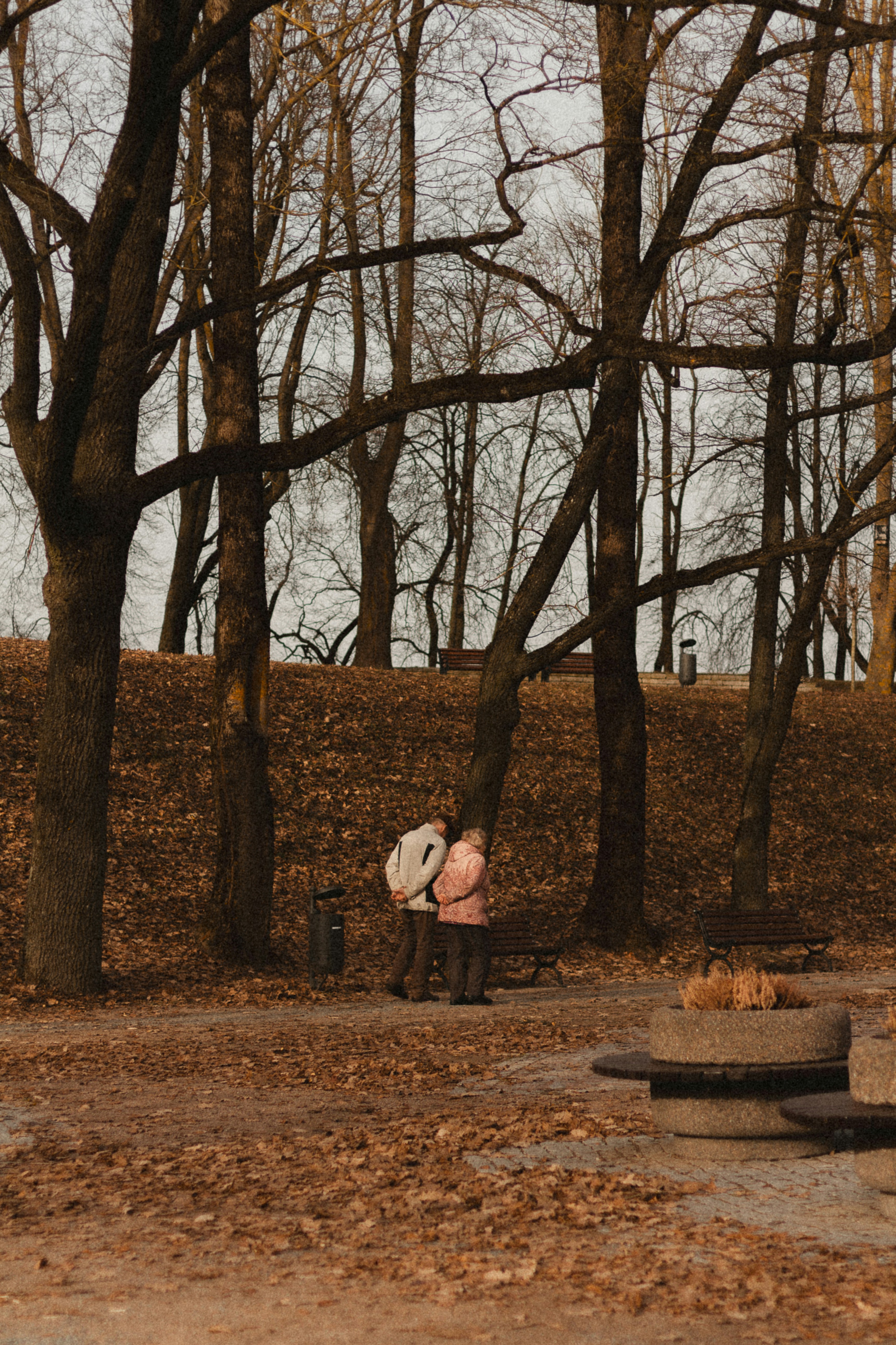 Photo by maximyuryshev