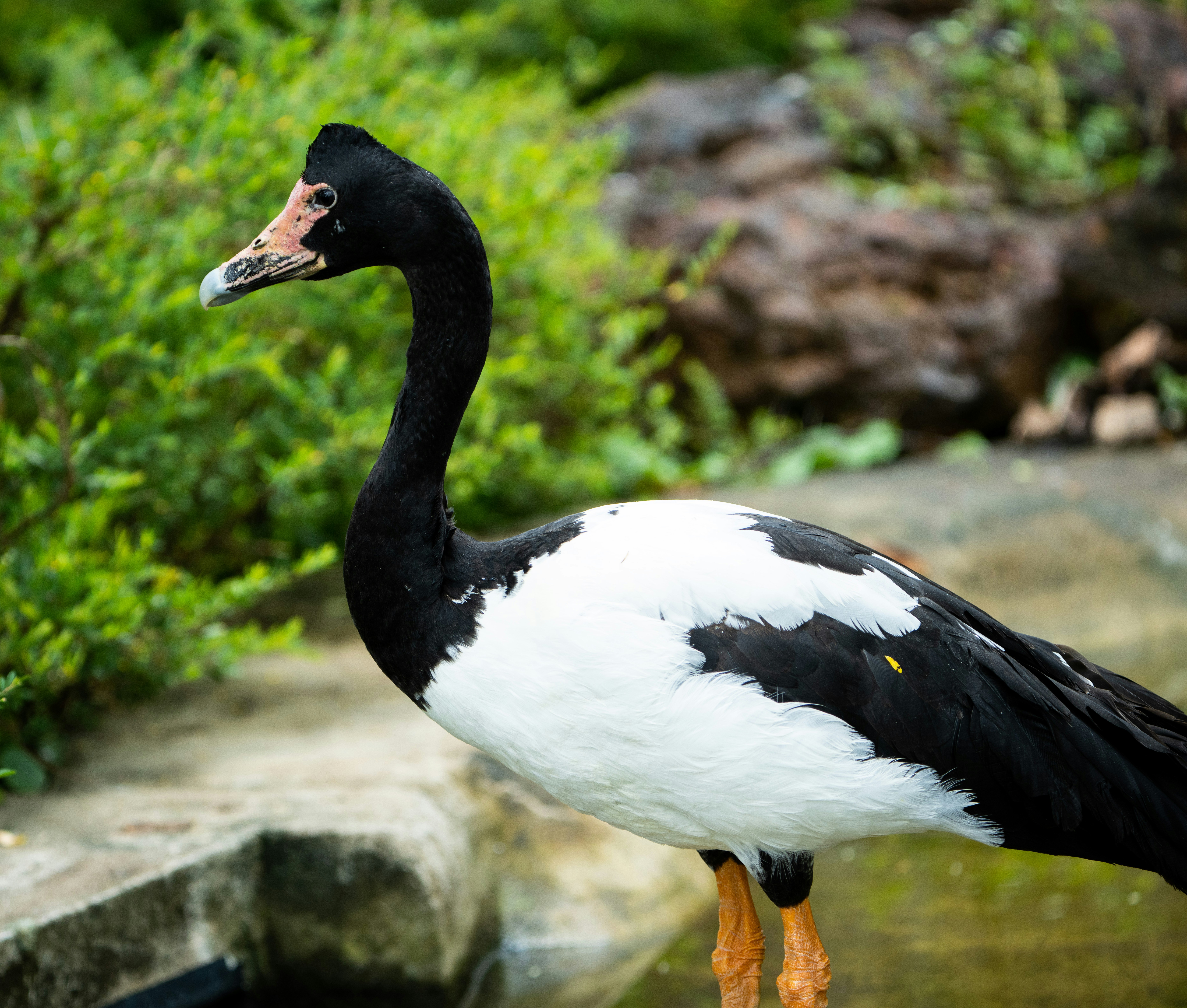 Photo by mhphotography13