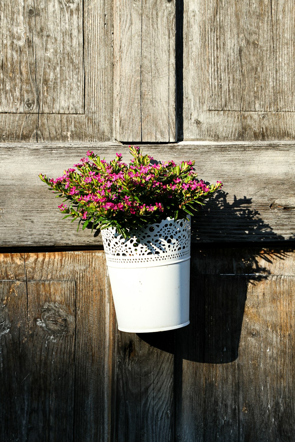 a white pot with pink flowers on a wooden wall