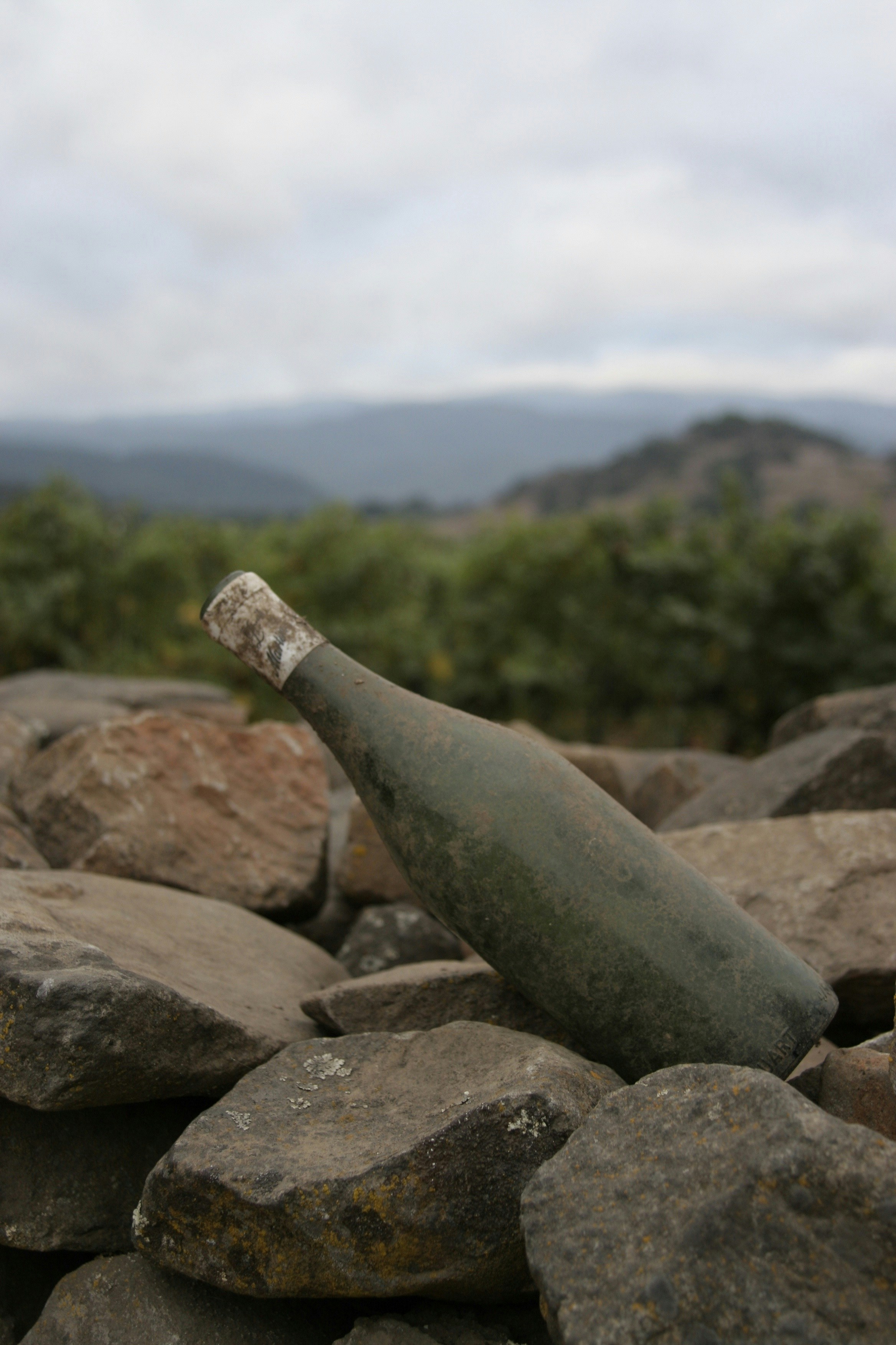 Vessel bottle in use outdoors on a hiking trail surrounded by green forest, bright daylight, lifestyle photography