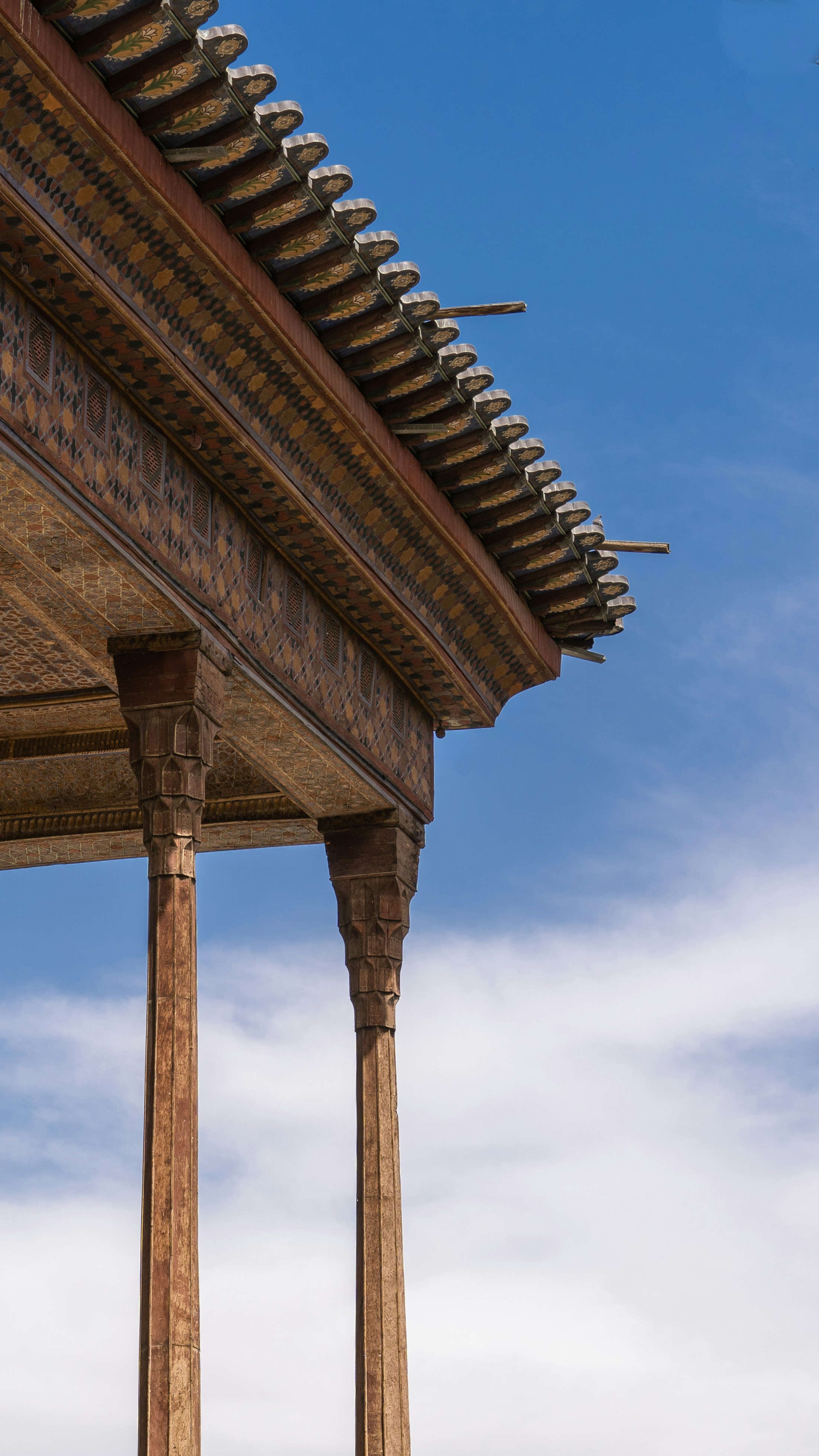 Photo by mahbodakhzami