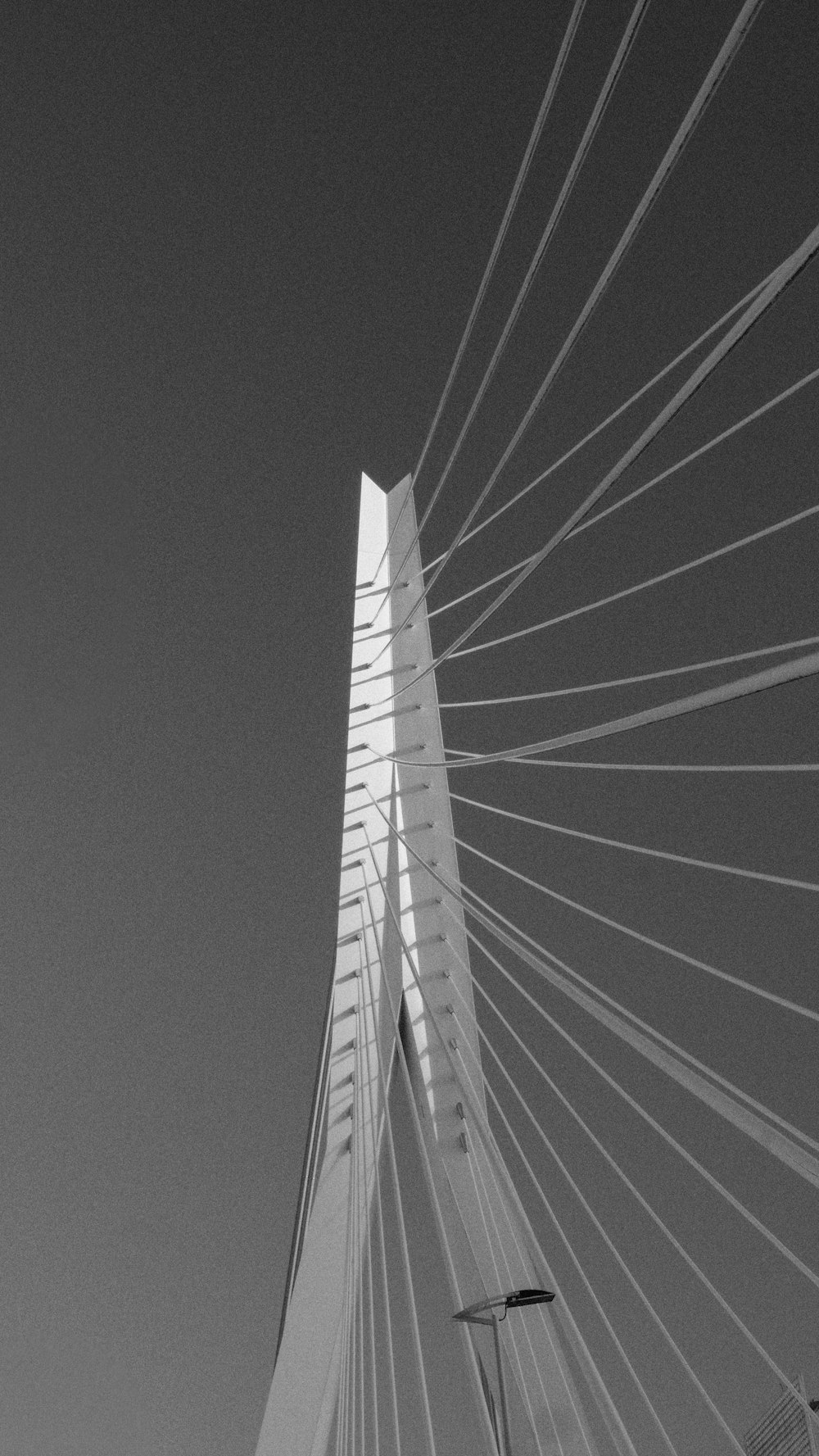 une photo en noir et blanc d’un pont