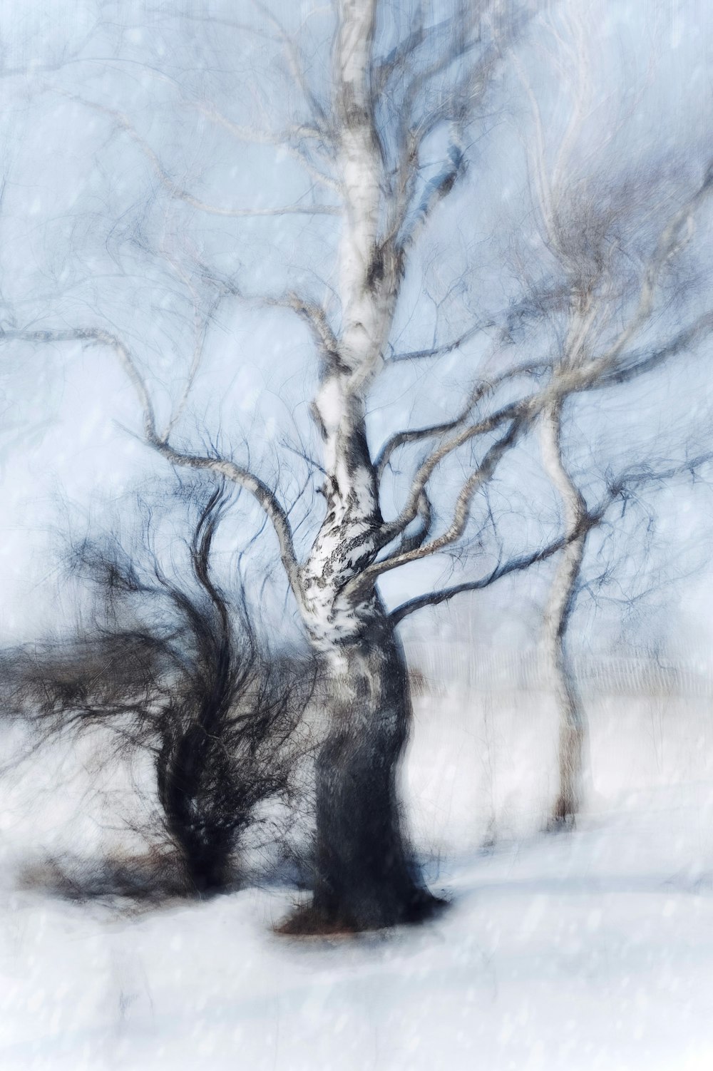a blurry photo of a tree in the snow