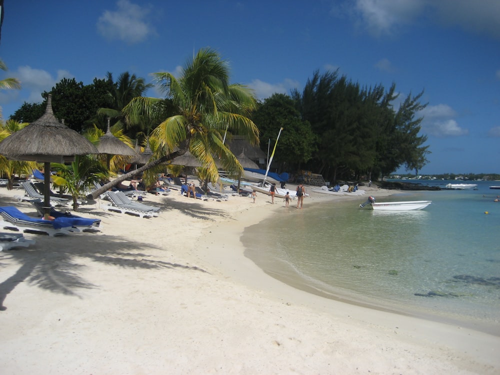 a white sandy beach with palm trees and people on it