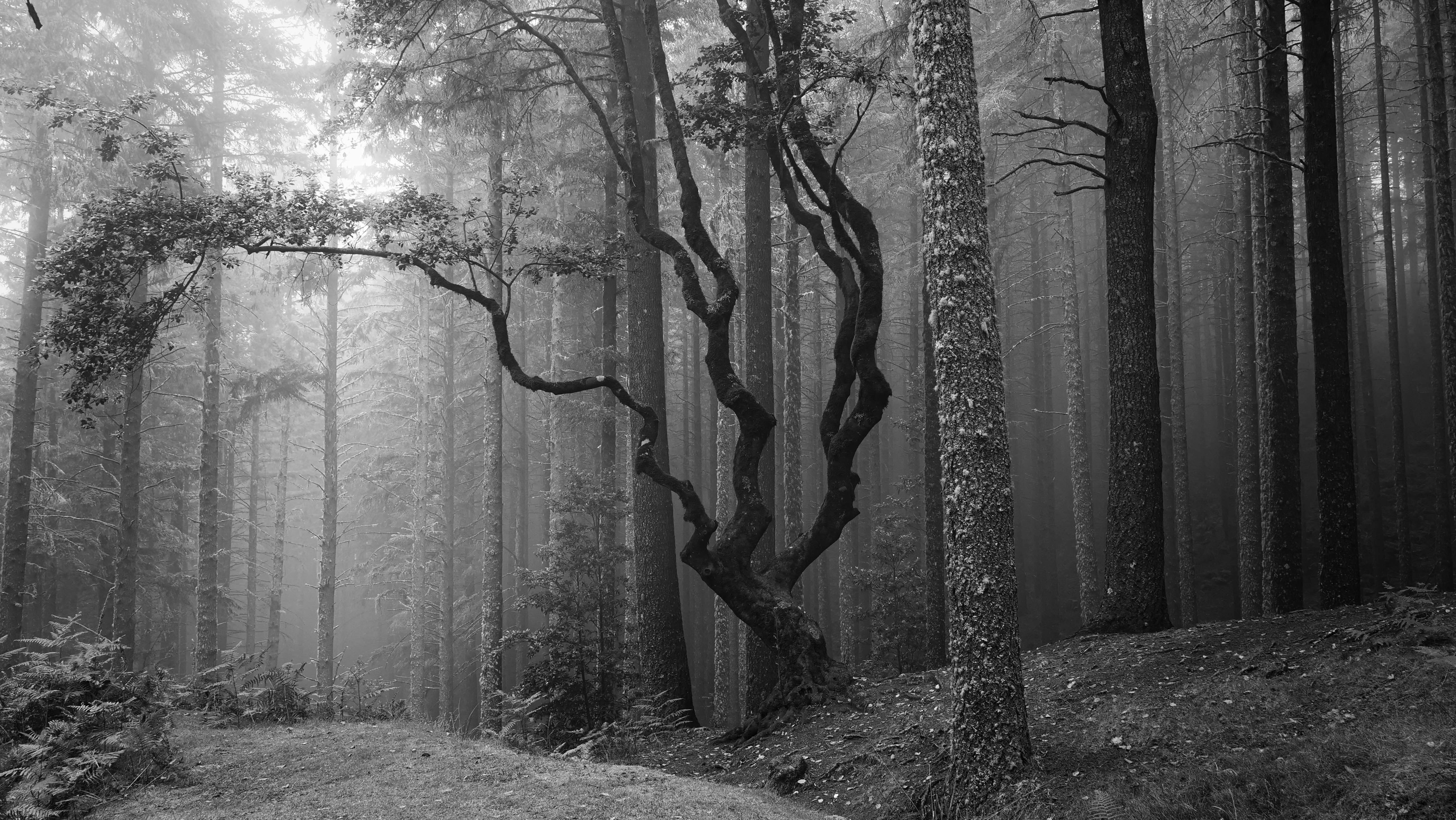 Photo by jackwhite2803