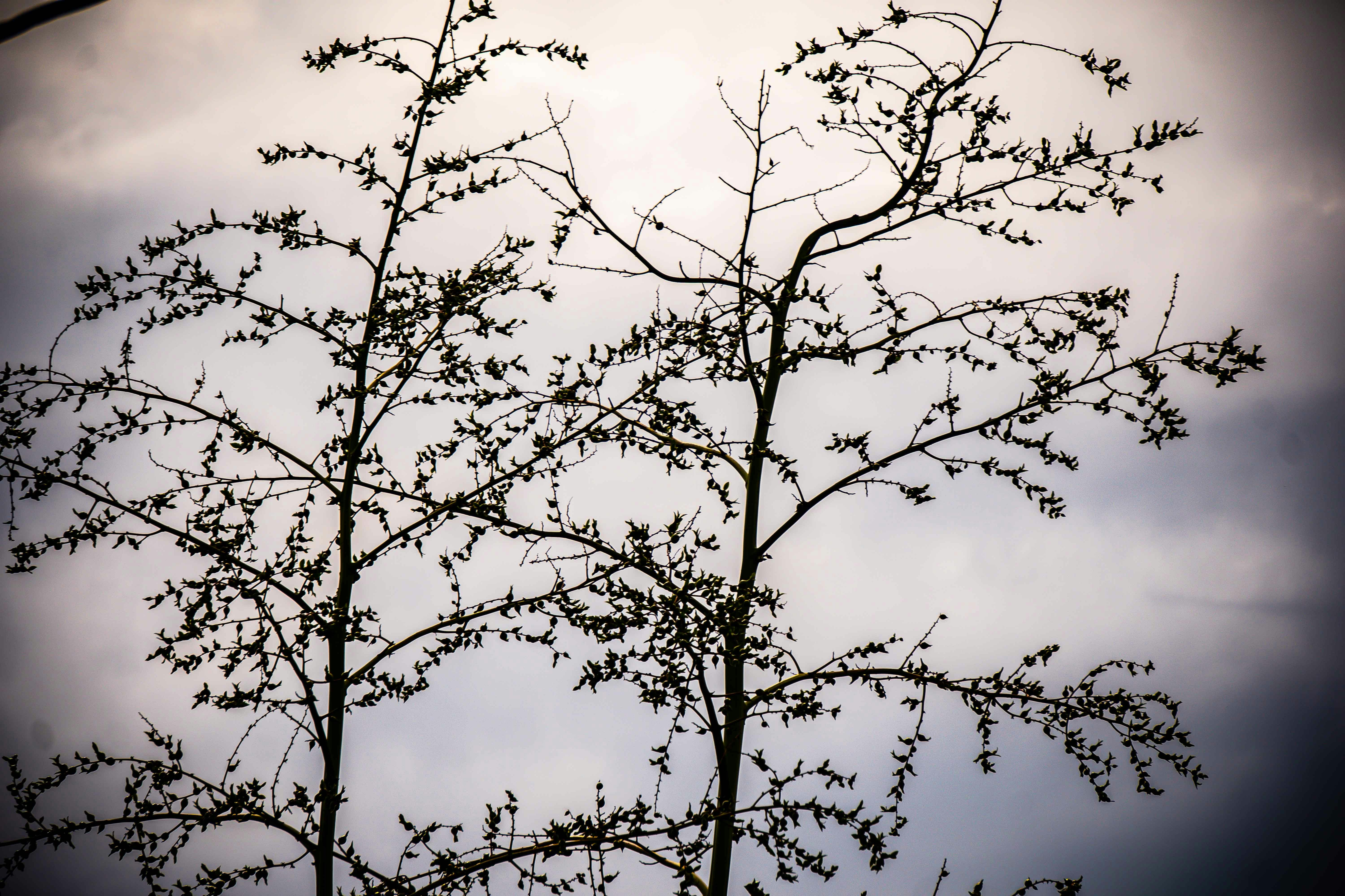 Photo by madknoxxdeluxe