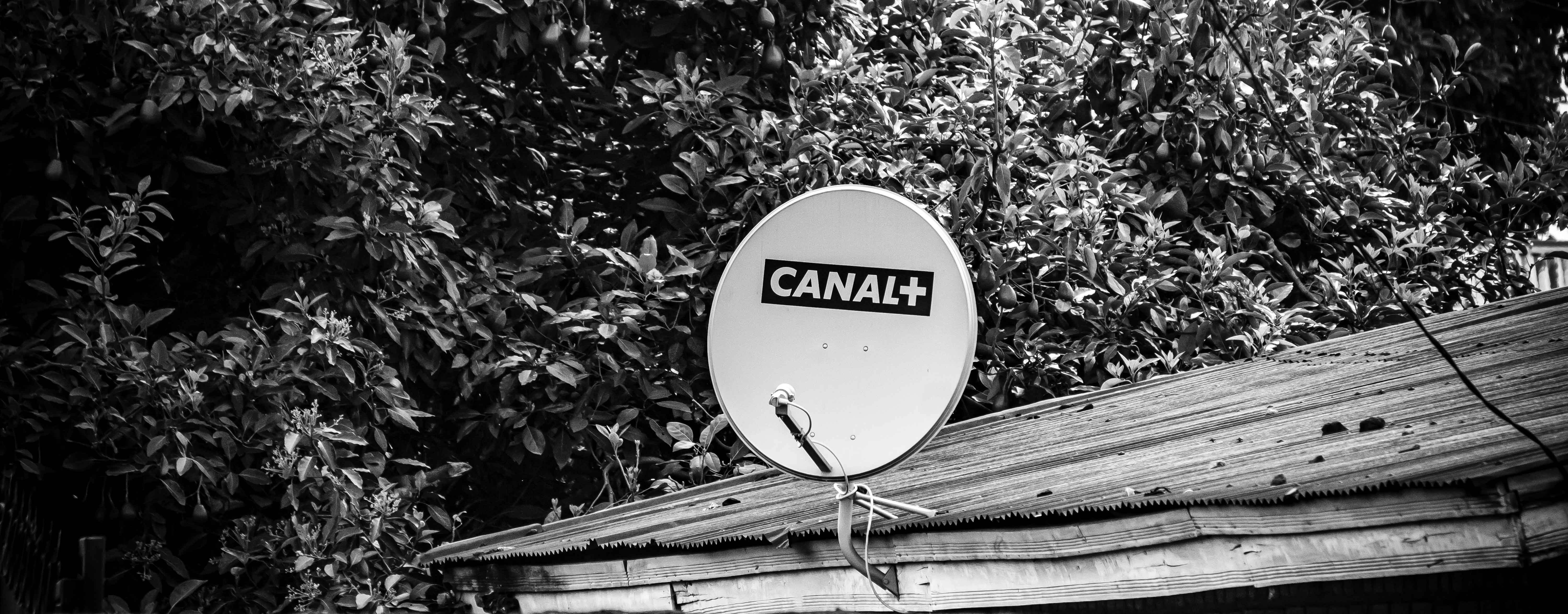 Canal+ Threatens 600 Filmmakers — Investors Face Potential Content Supply Shock