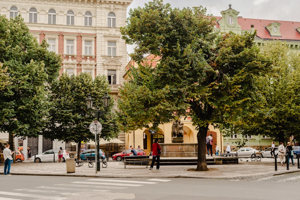 a group of people standing on a sidewalk next to trees