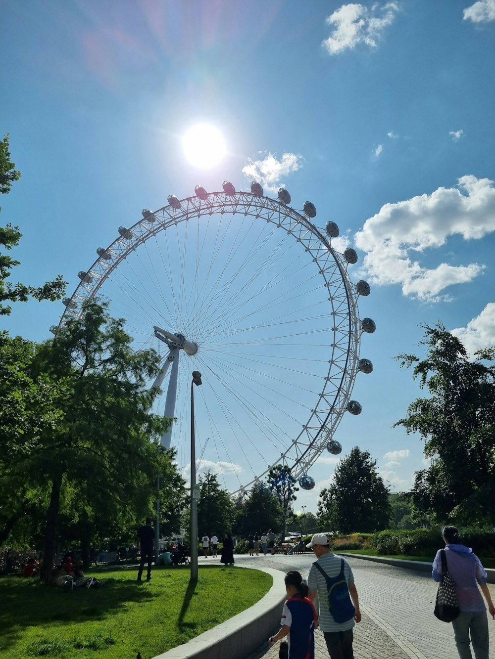 a large ferris wheel sitting on top of a lush green park