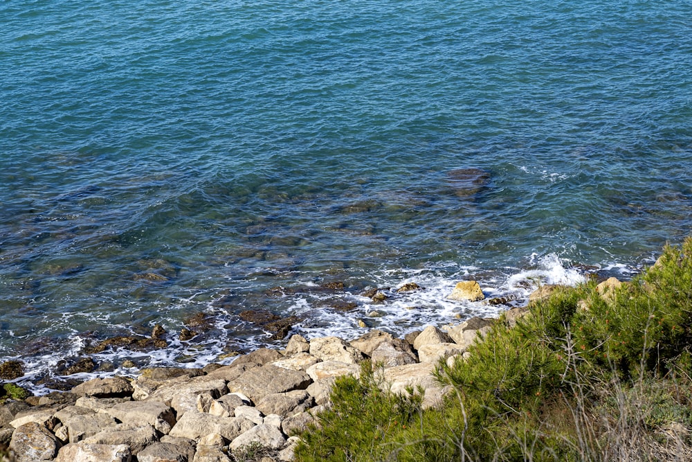 a large body of water sitting next to a rocky shore