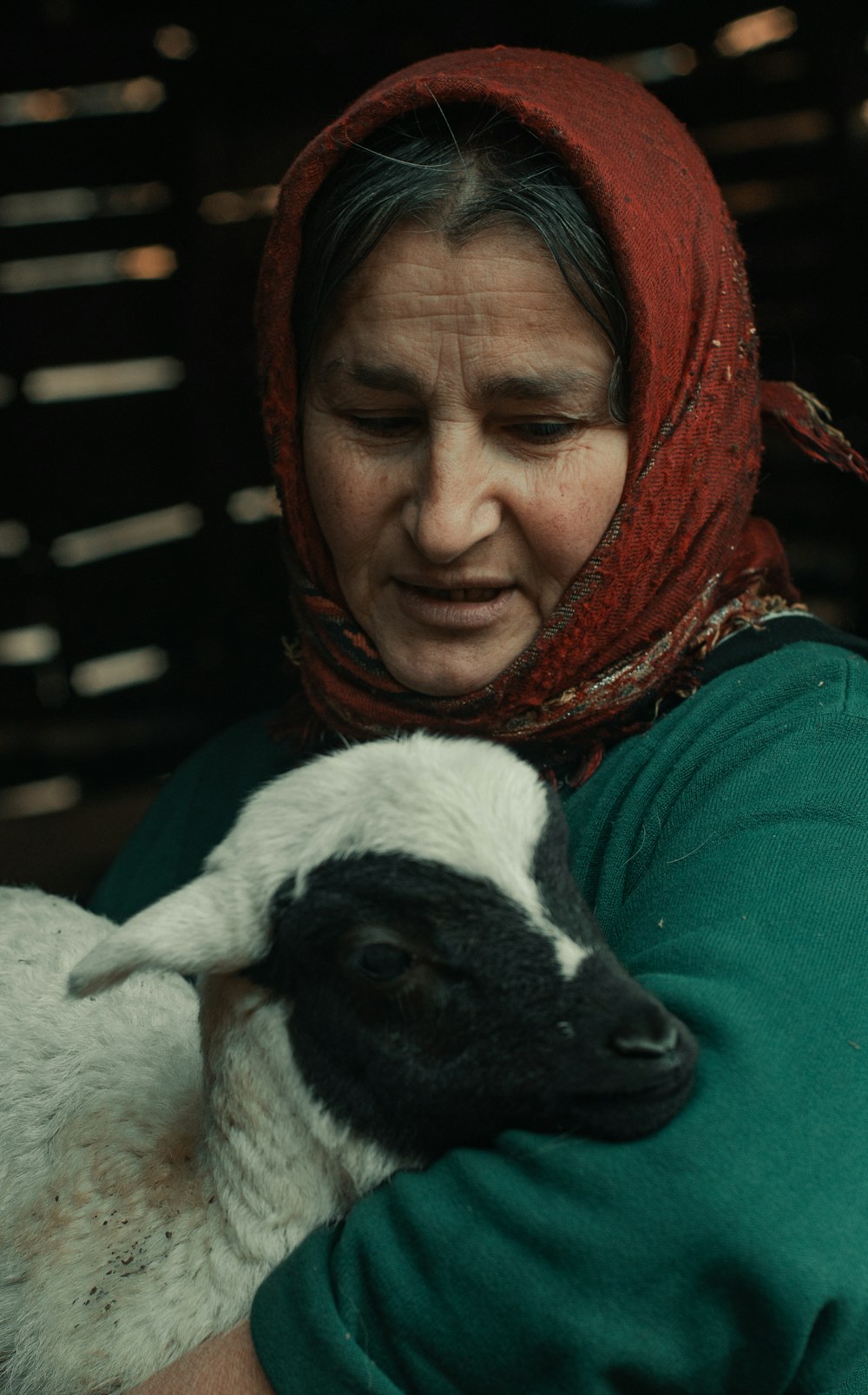 a woman holding a baby sheep in her arms