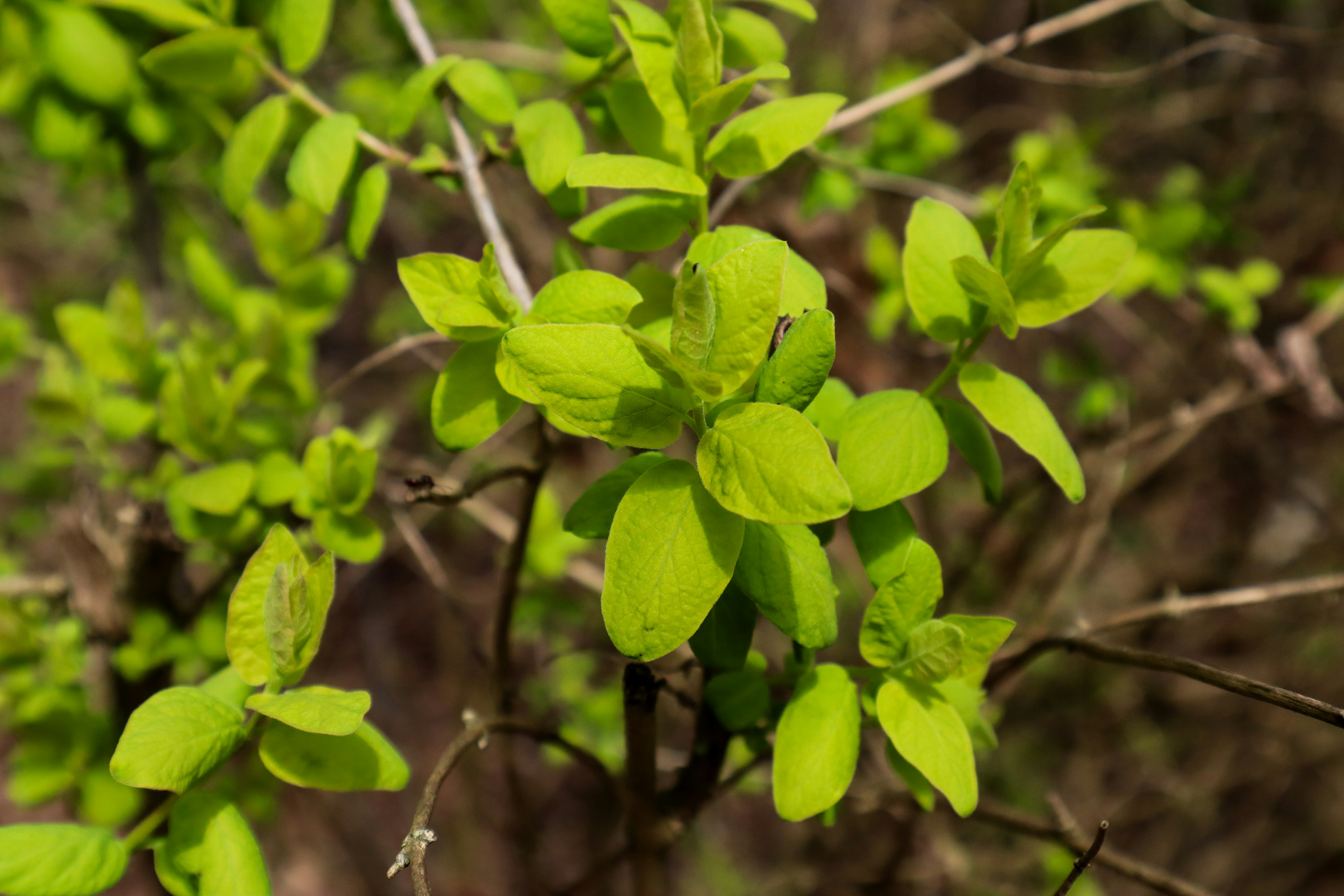 Photo by mugabo_library