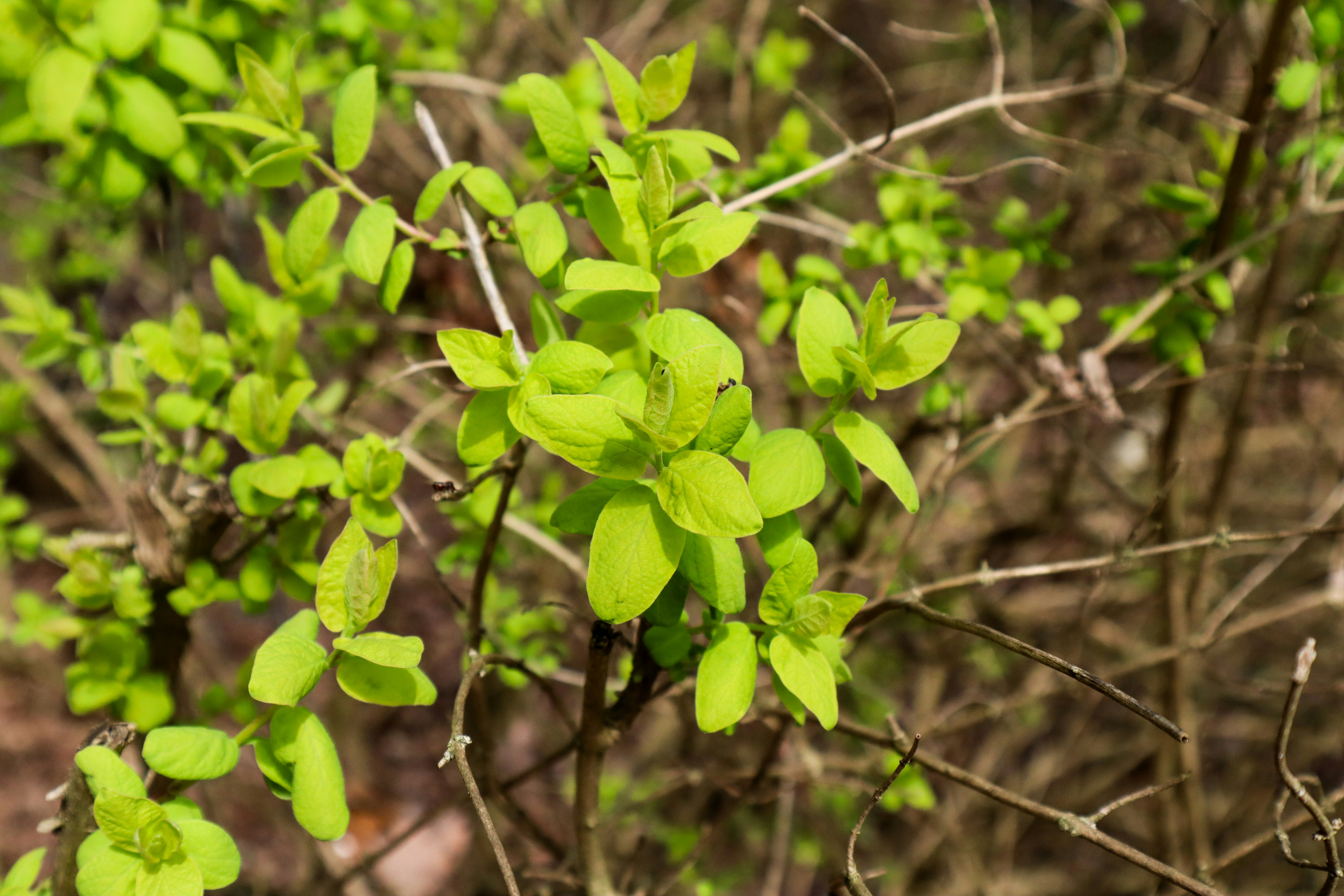 Photo by mugabo_library