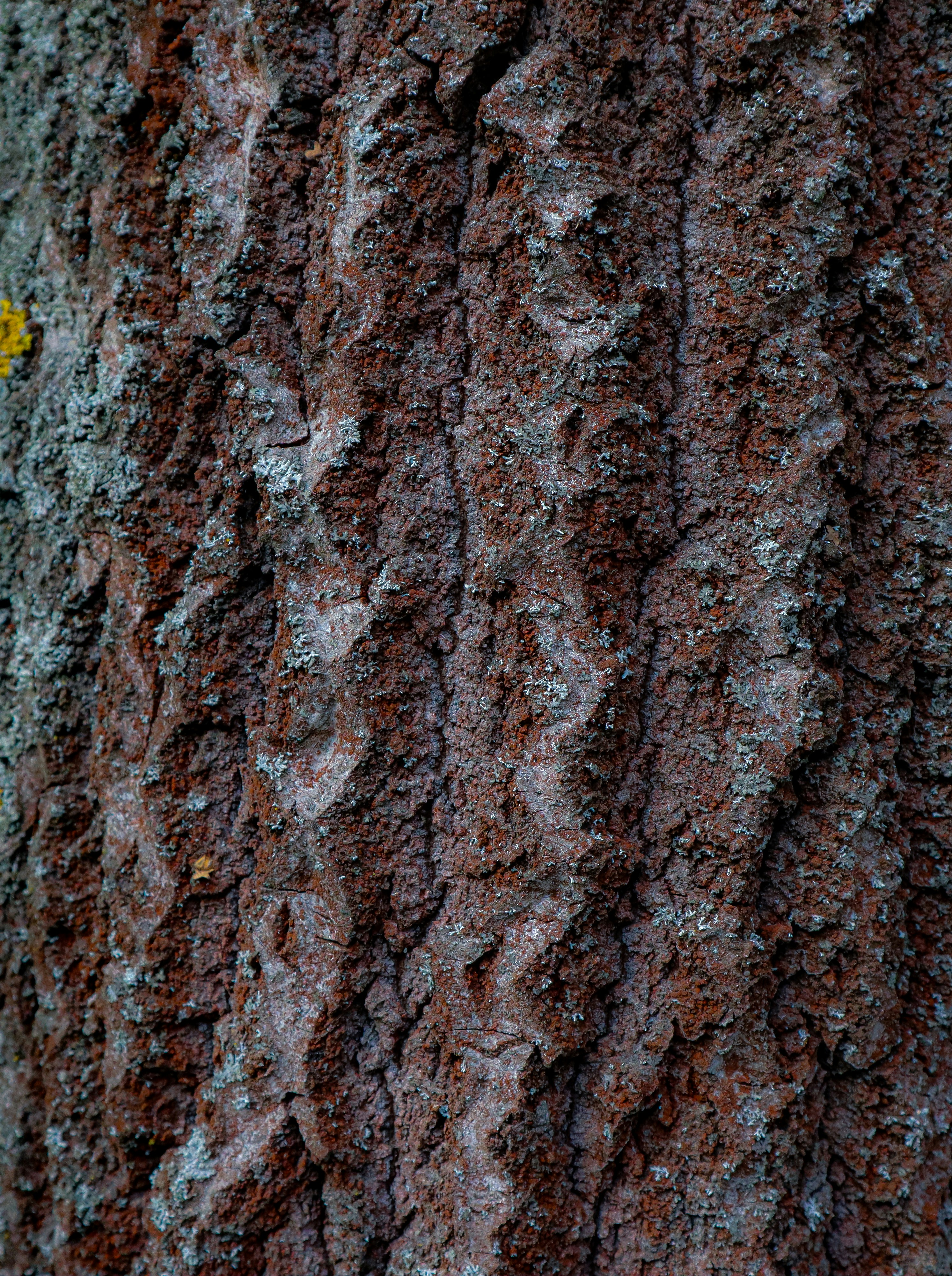 Photo by mugabo_library