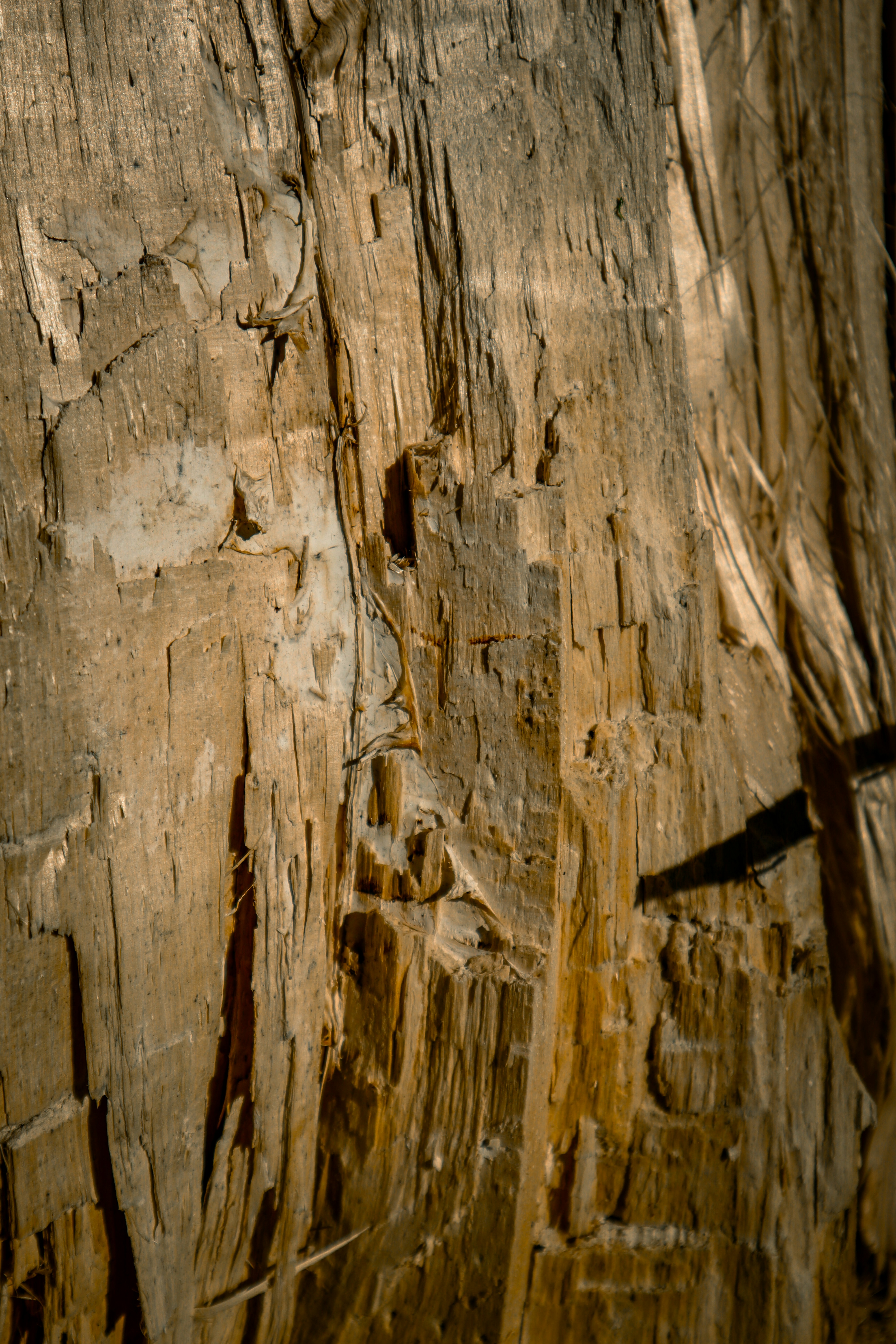 Photo by mugabo_library