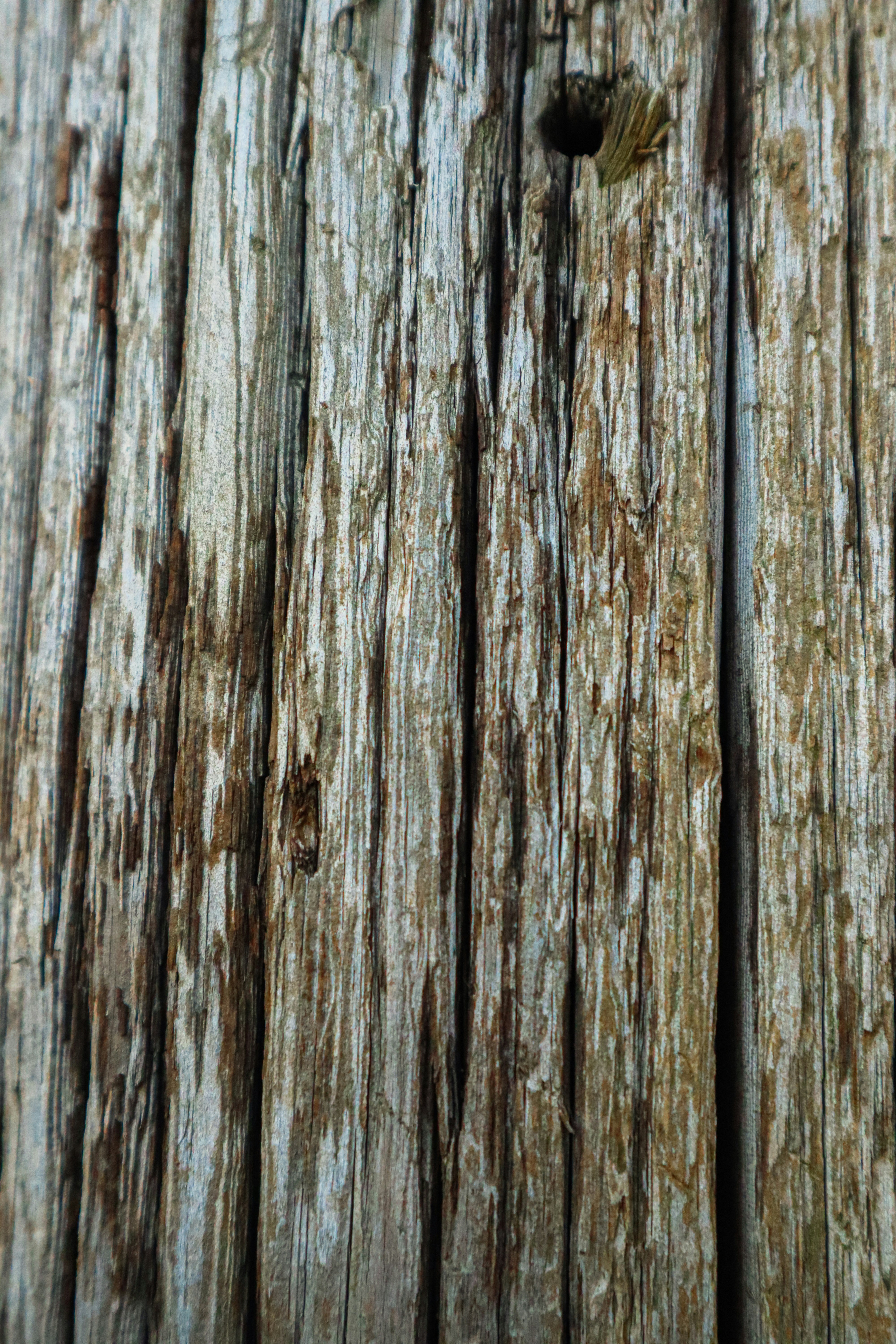 Photo by mugabo_library