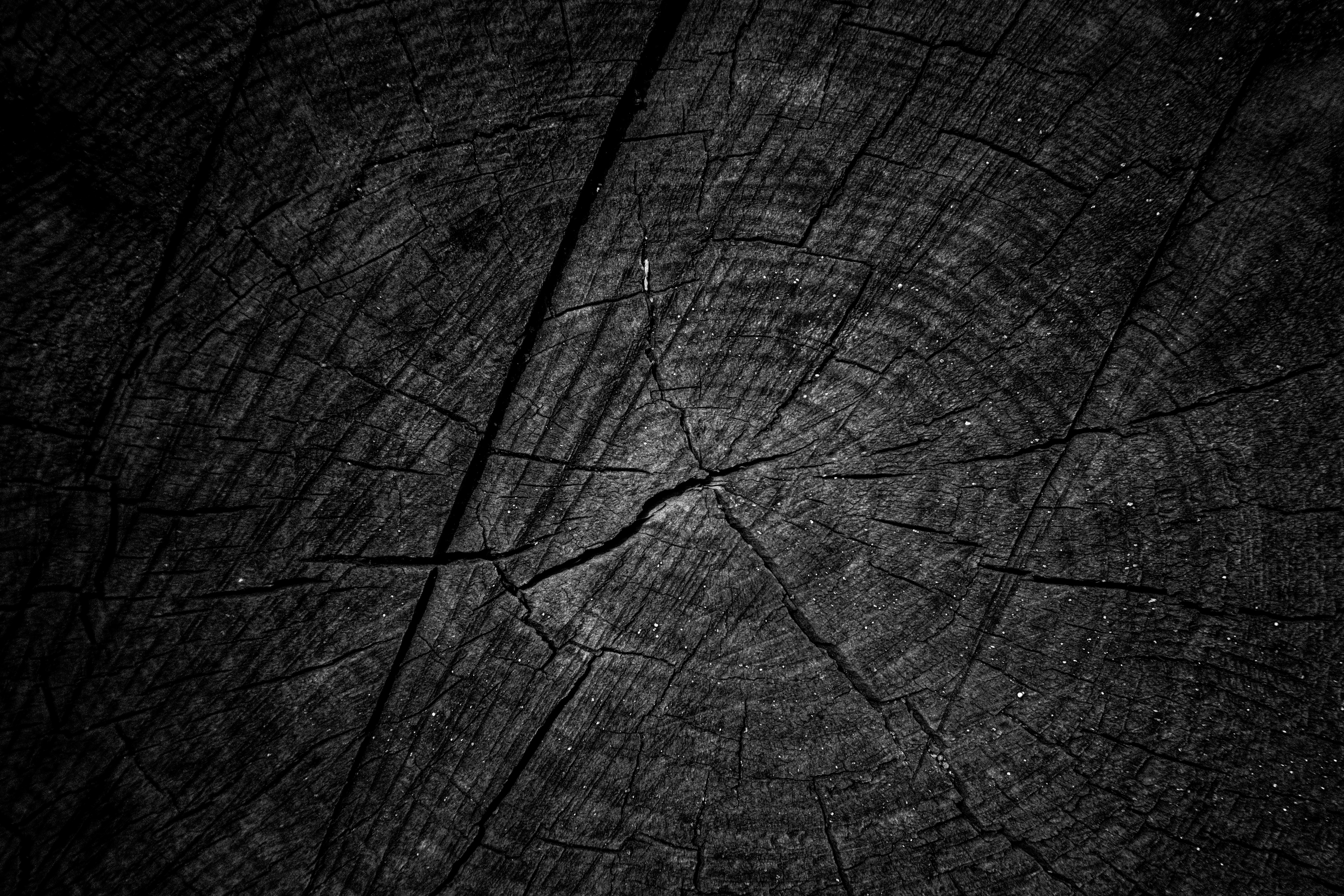 ¿Cuáles son los impactos ambientales de la Inteligencia Artificial y cómo afrontarlos?