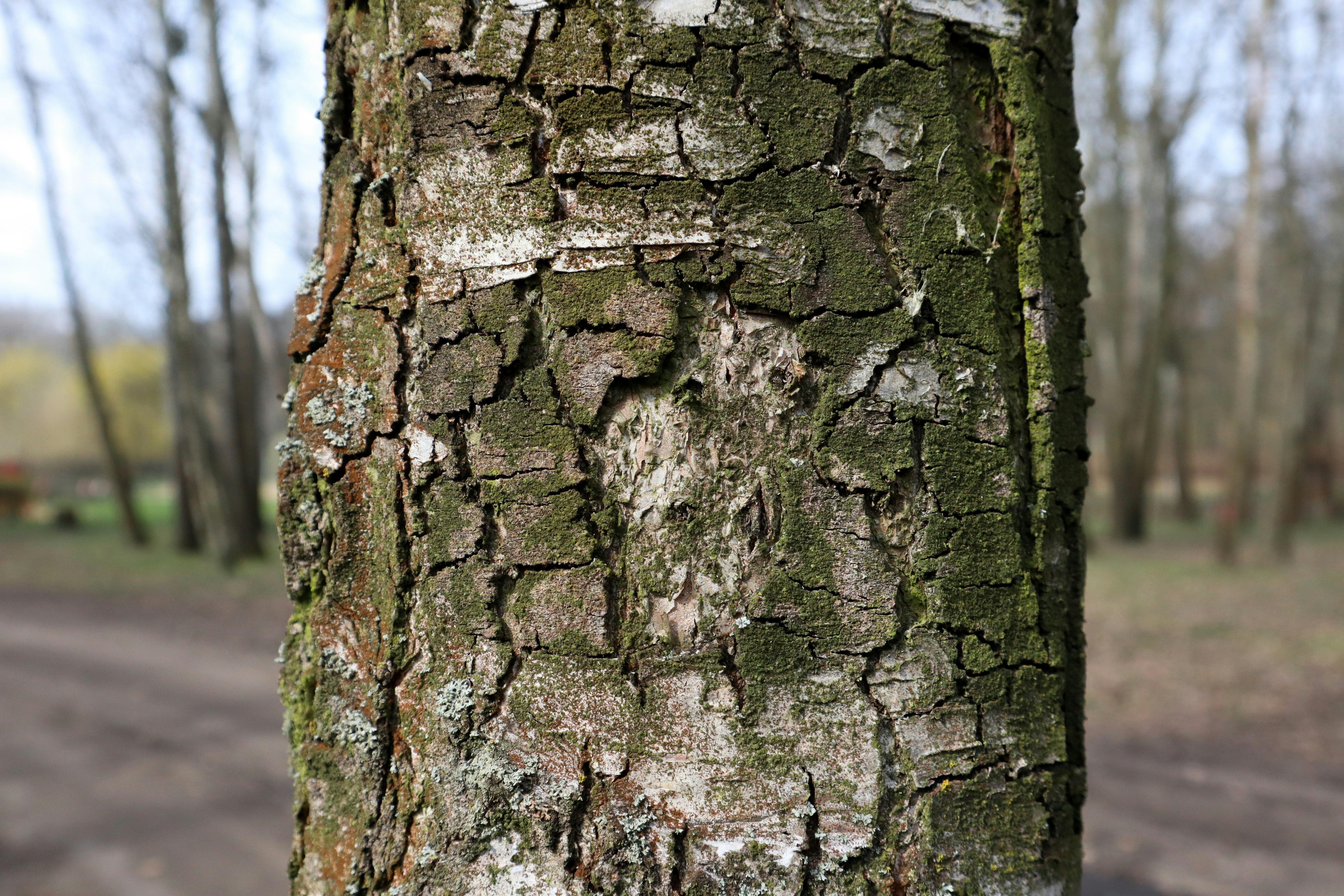 Photo by mugabo_library