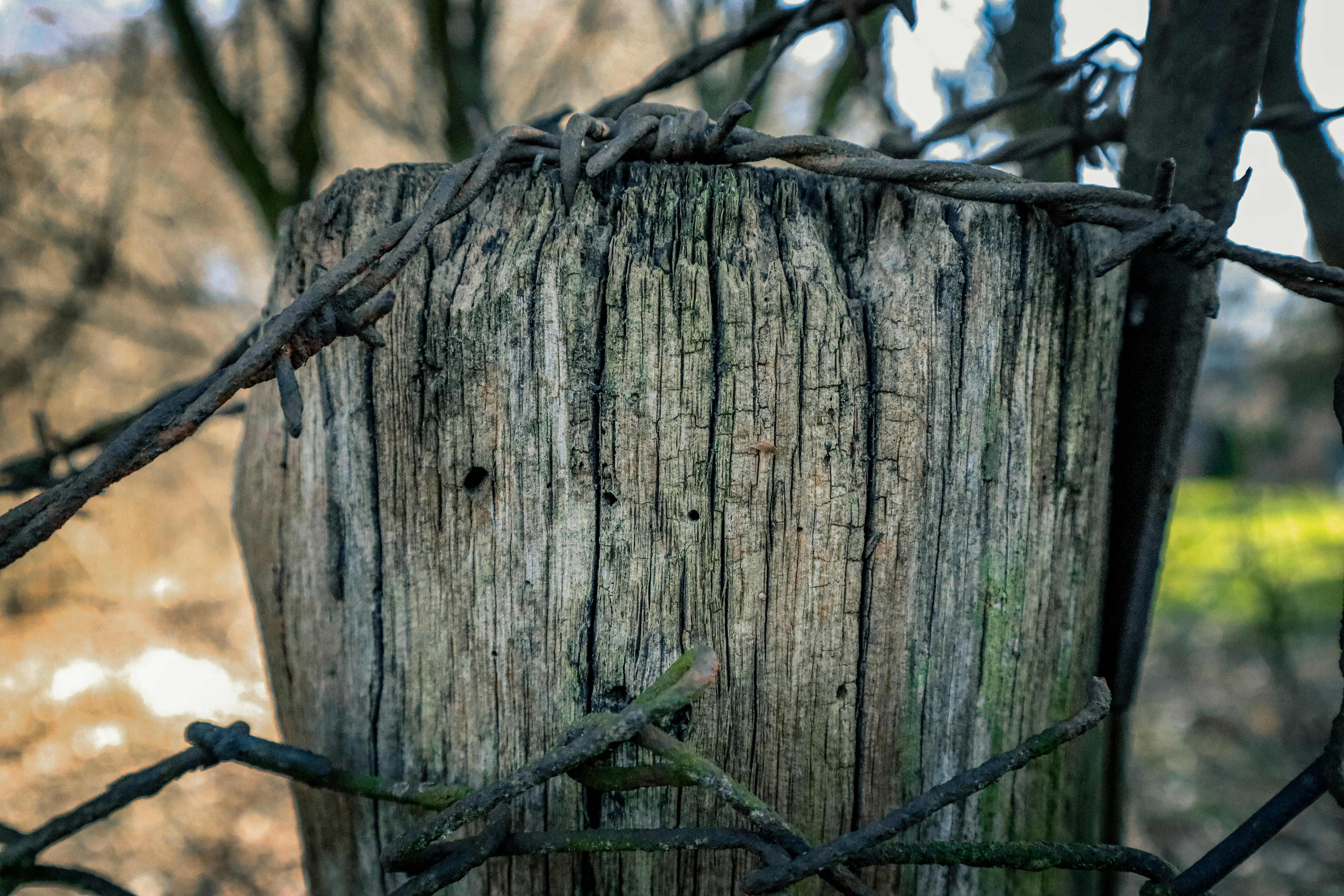 Photo by mugabo_library