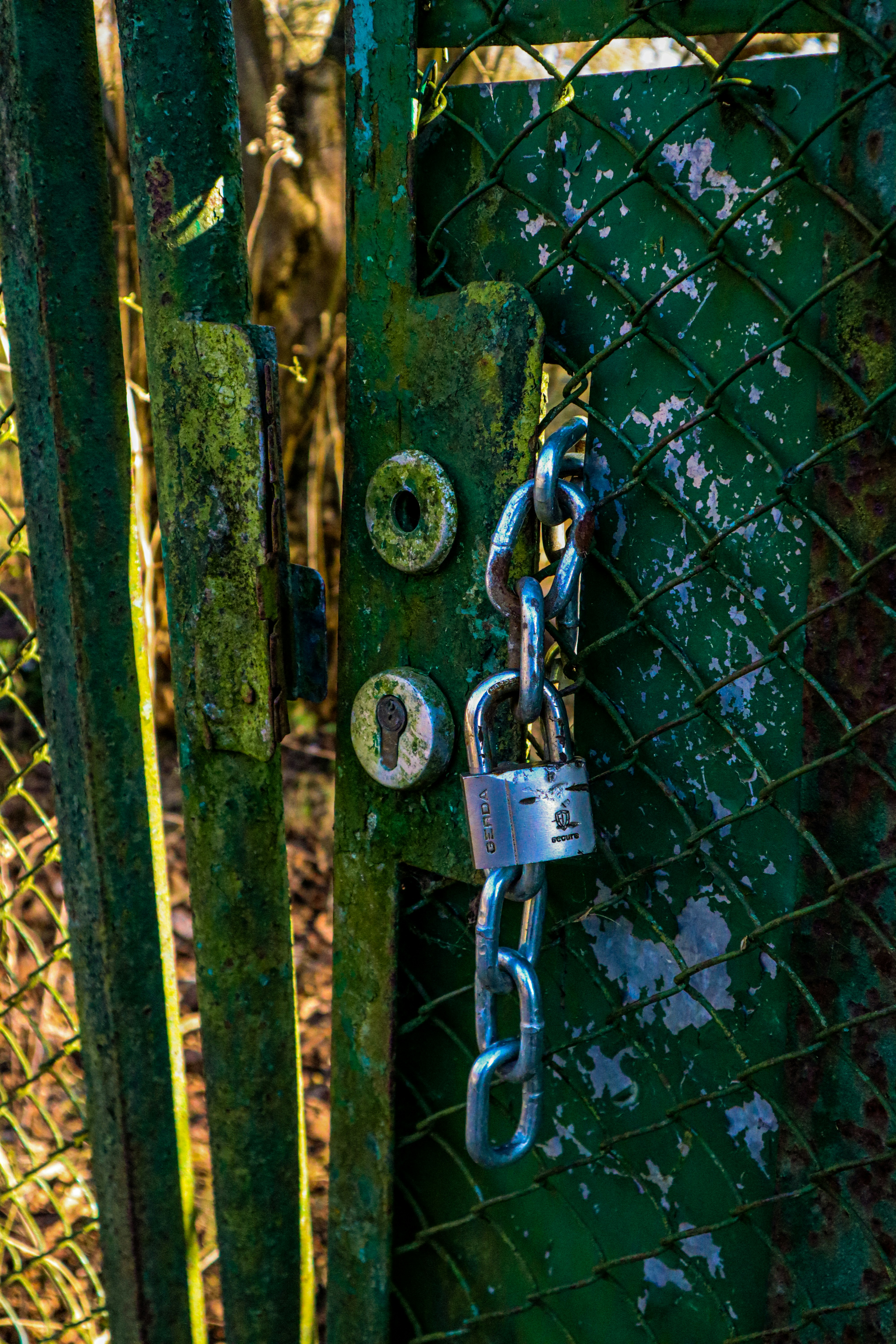 Photo by mugabo_library