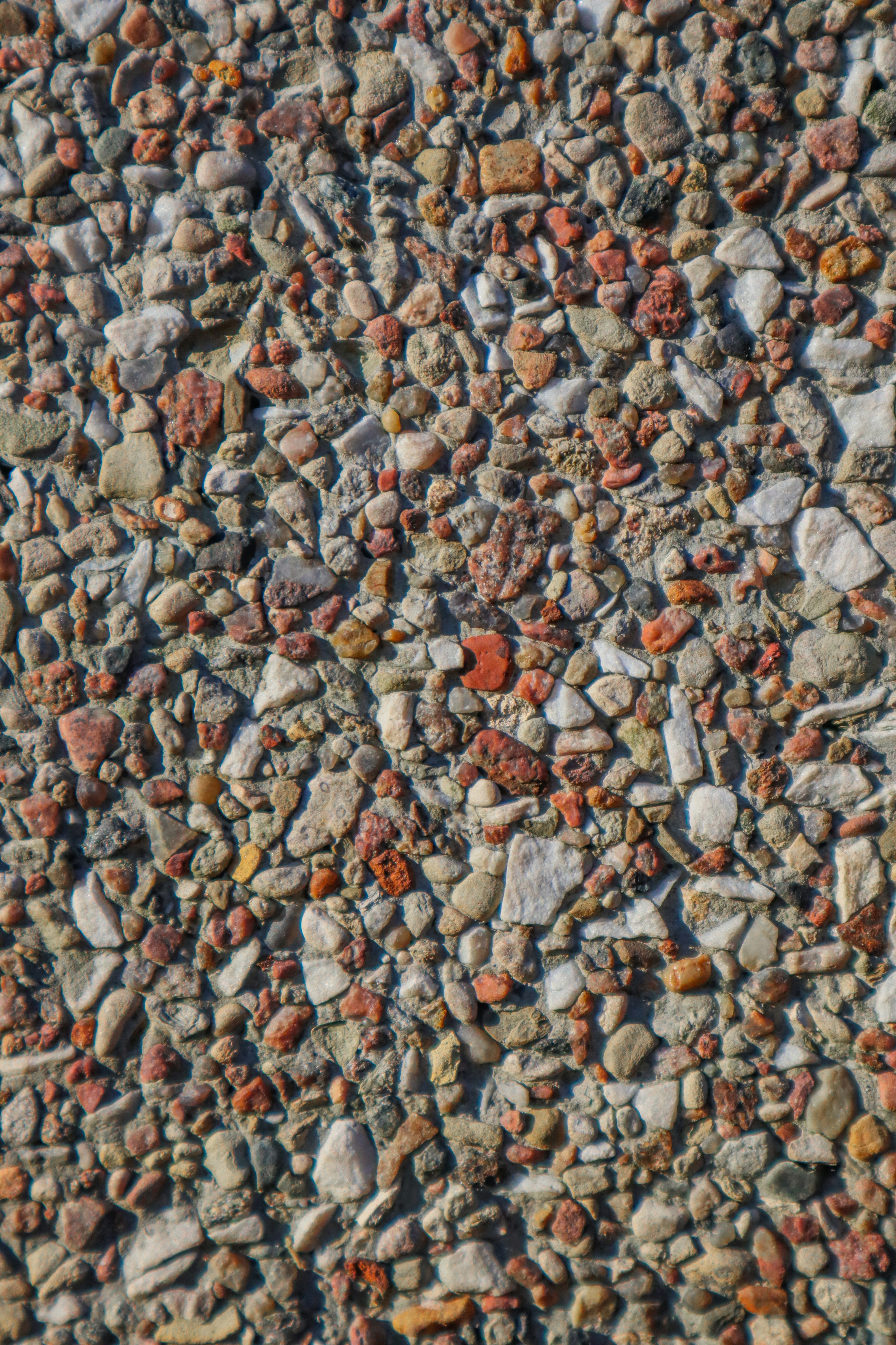 Photo by mugabo_library