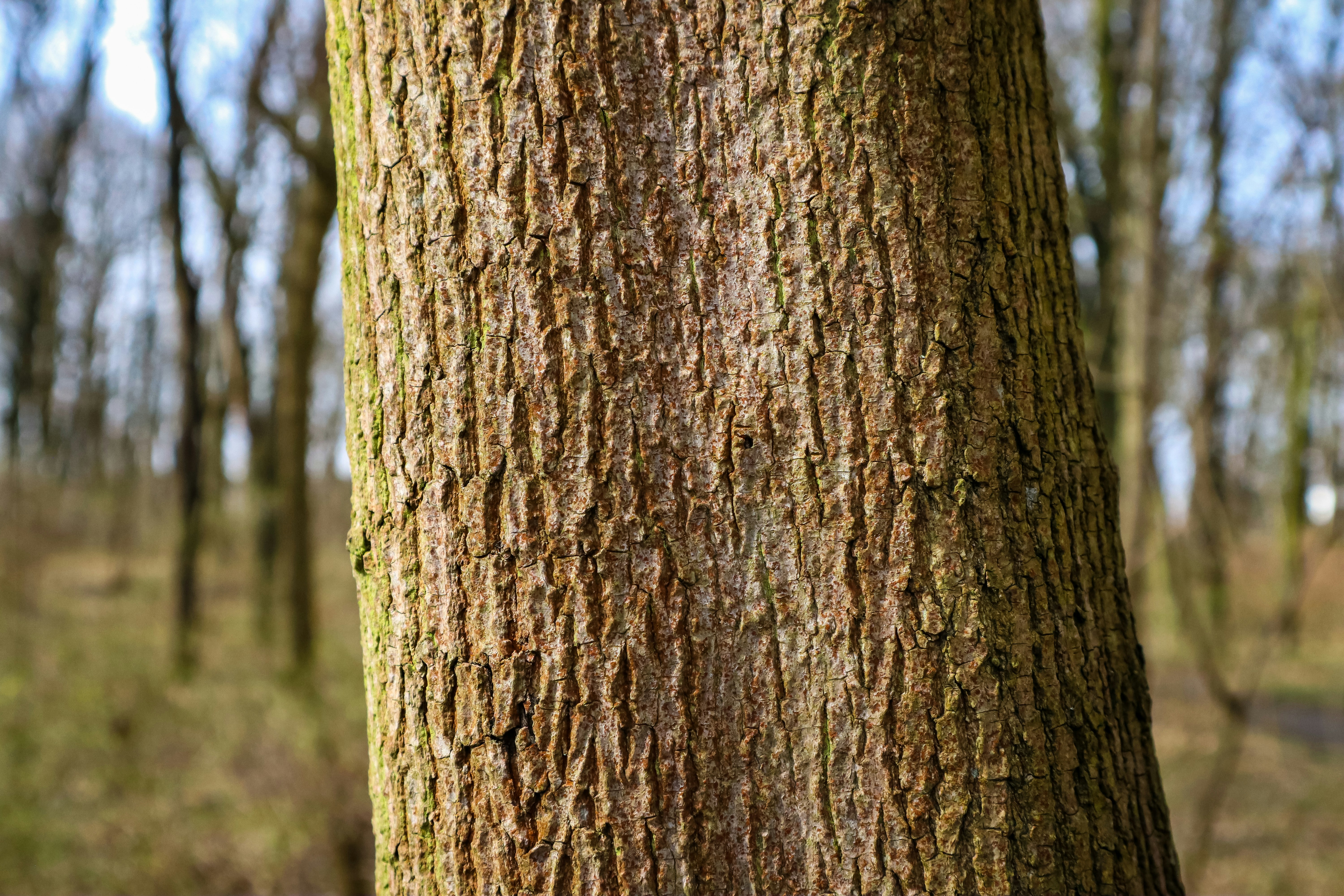 Photo by mugabo_library