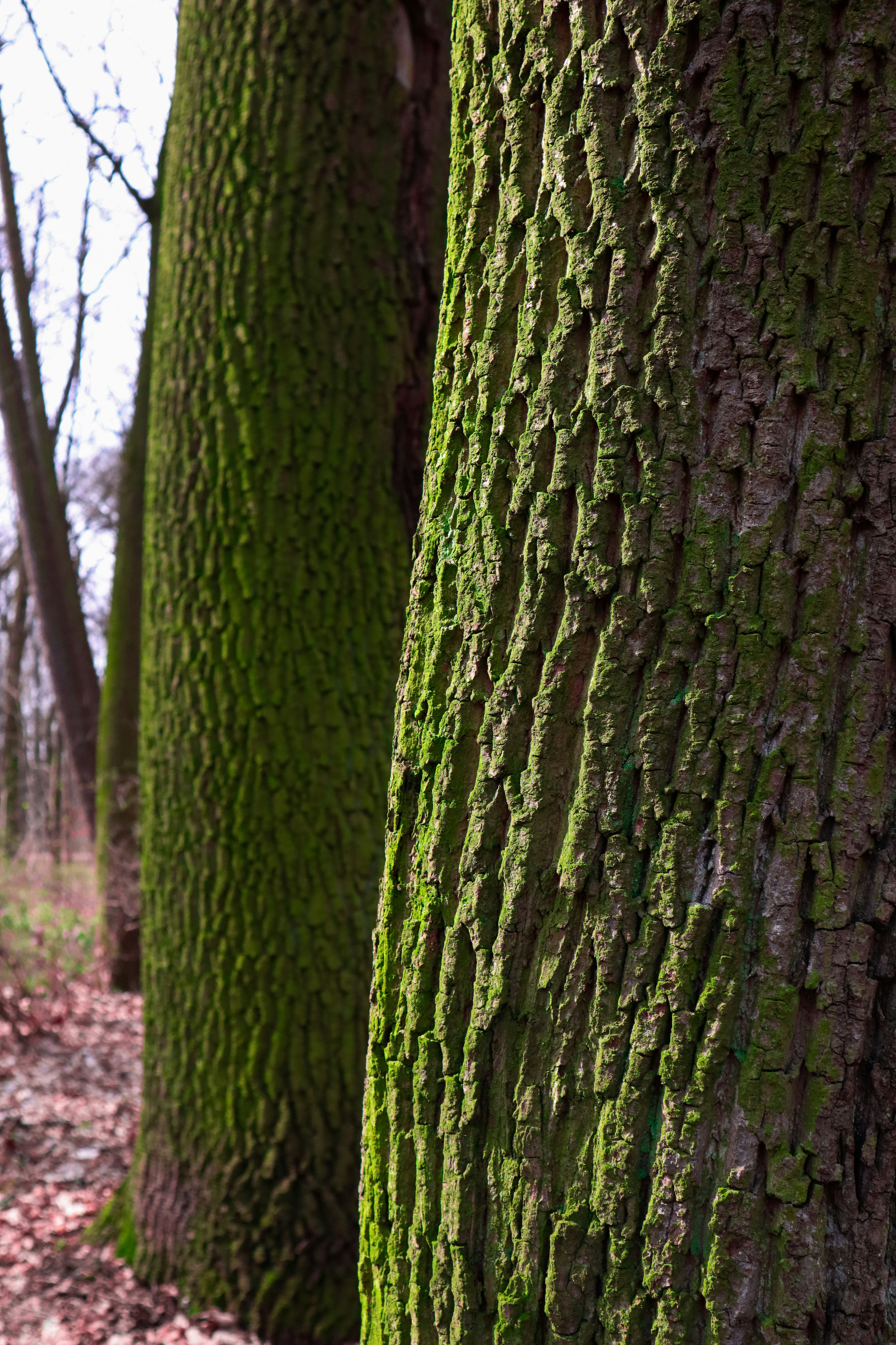 Photo by mugabo_library