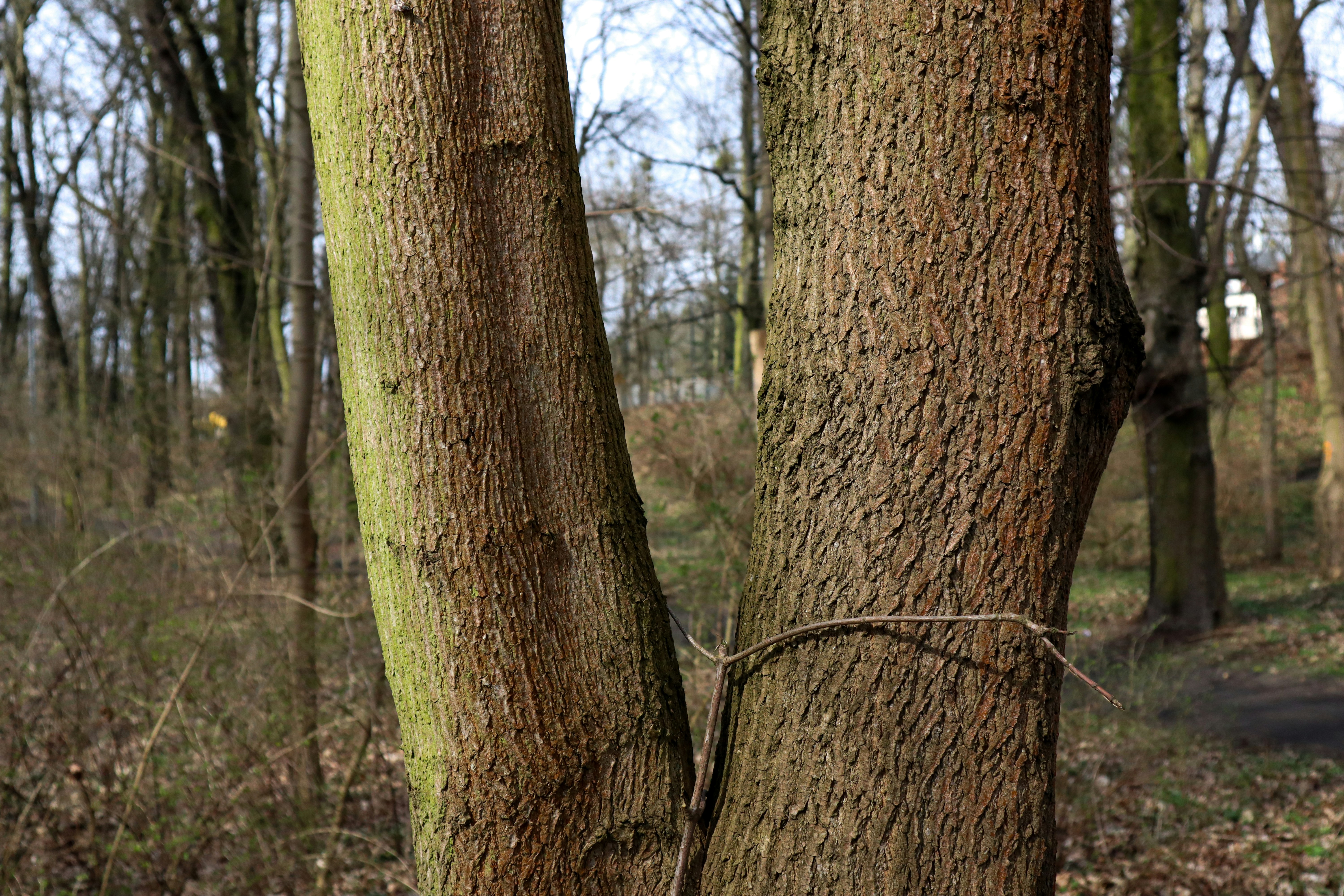 Photo by mugabo_library