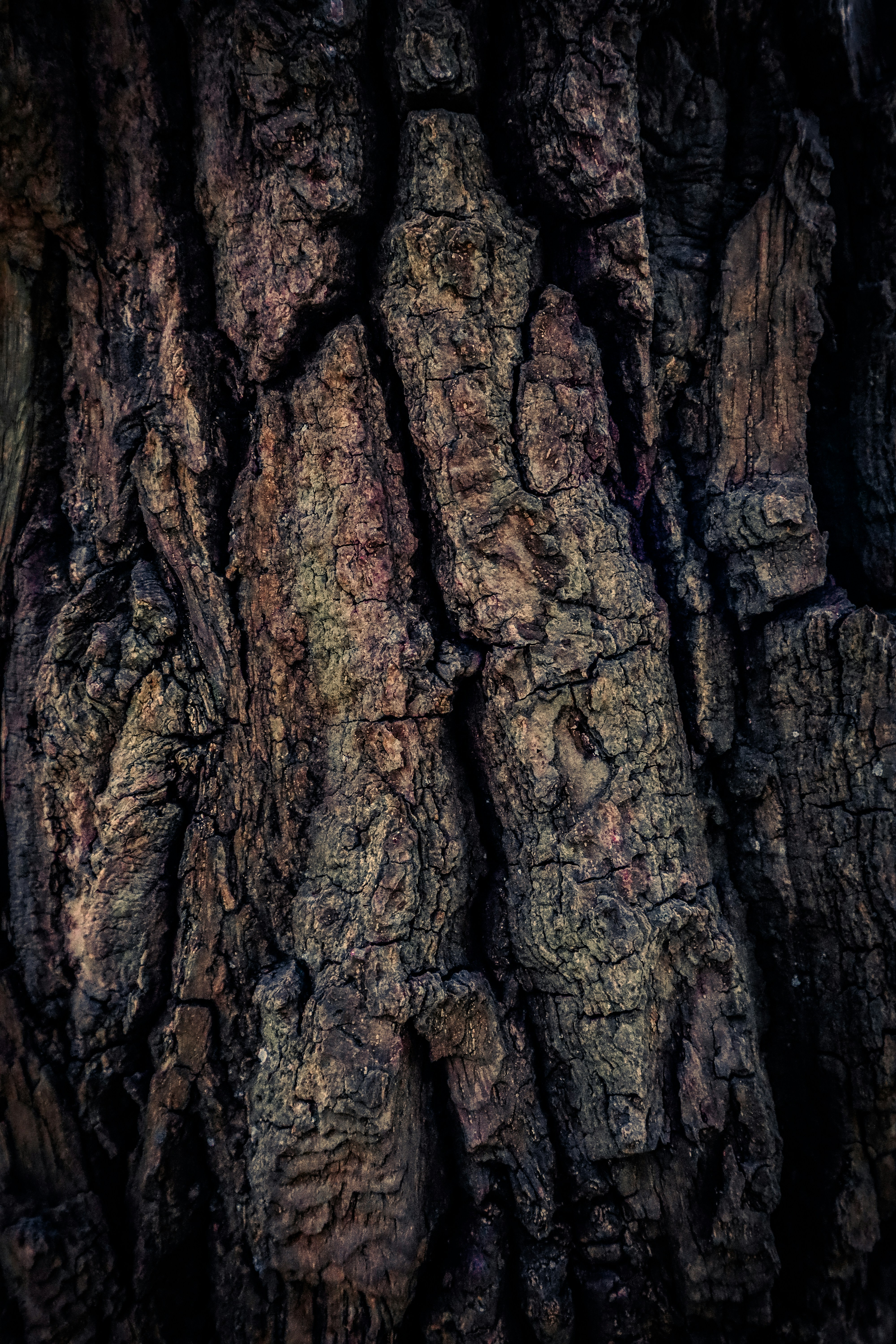 Photo by mugabo_library