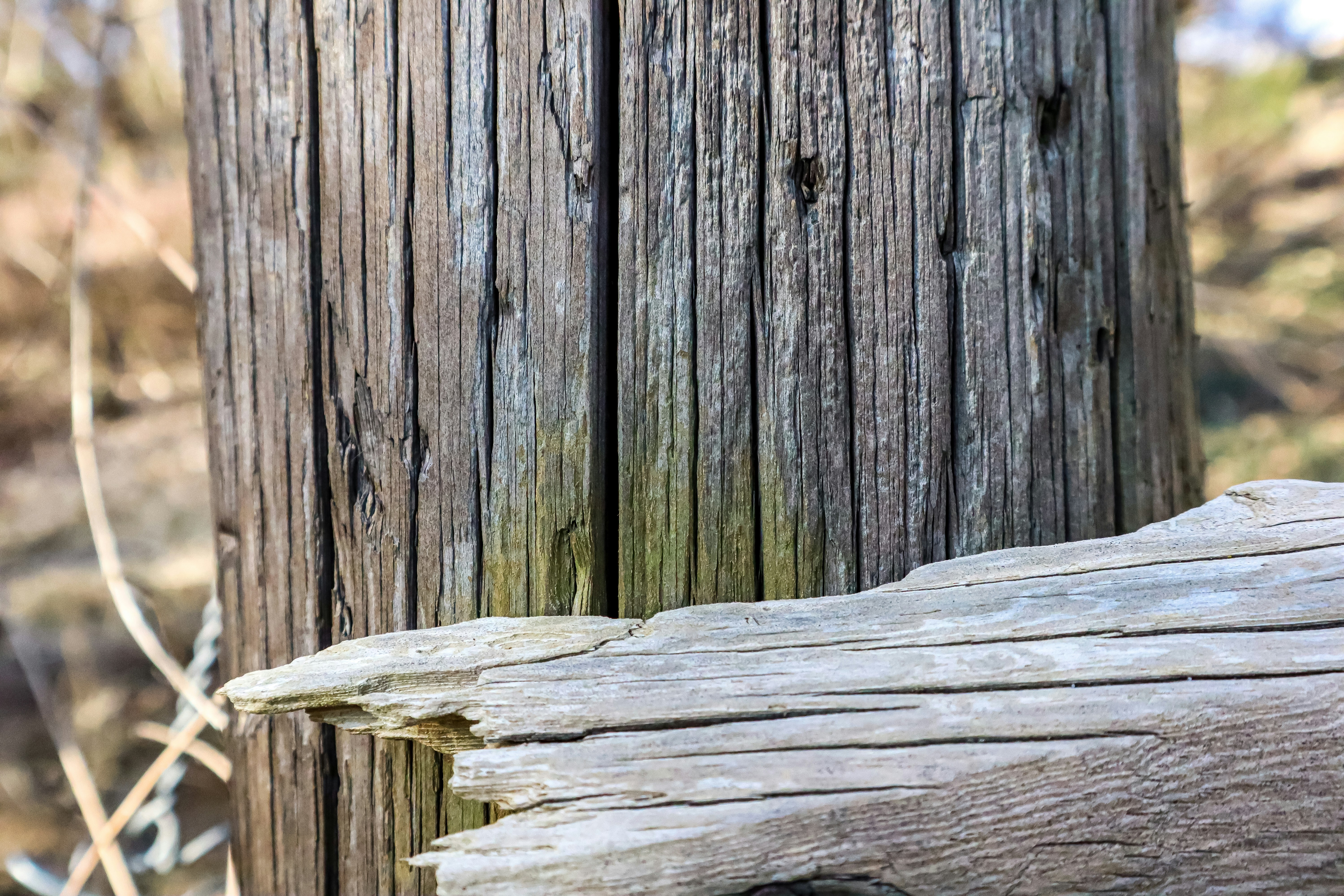 Photo by mugabo_library