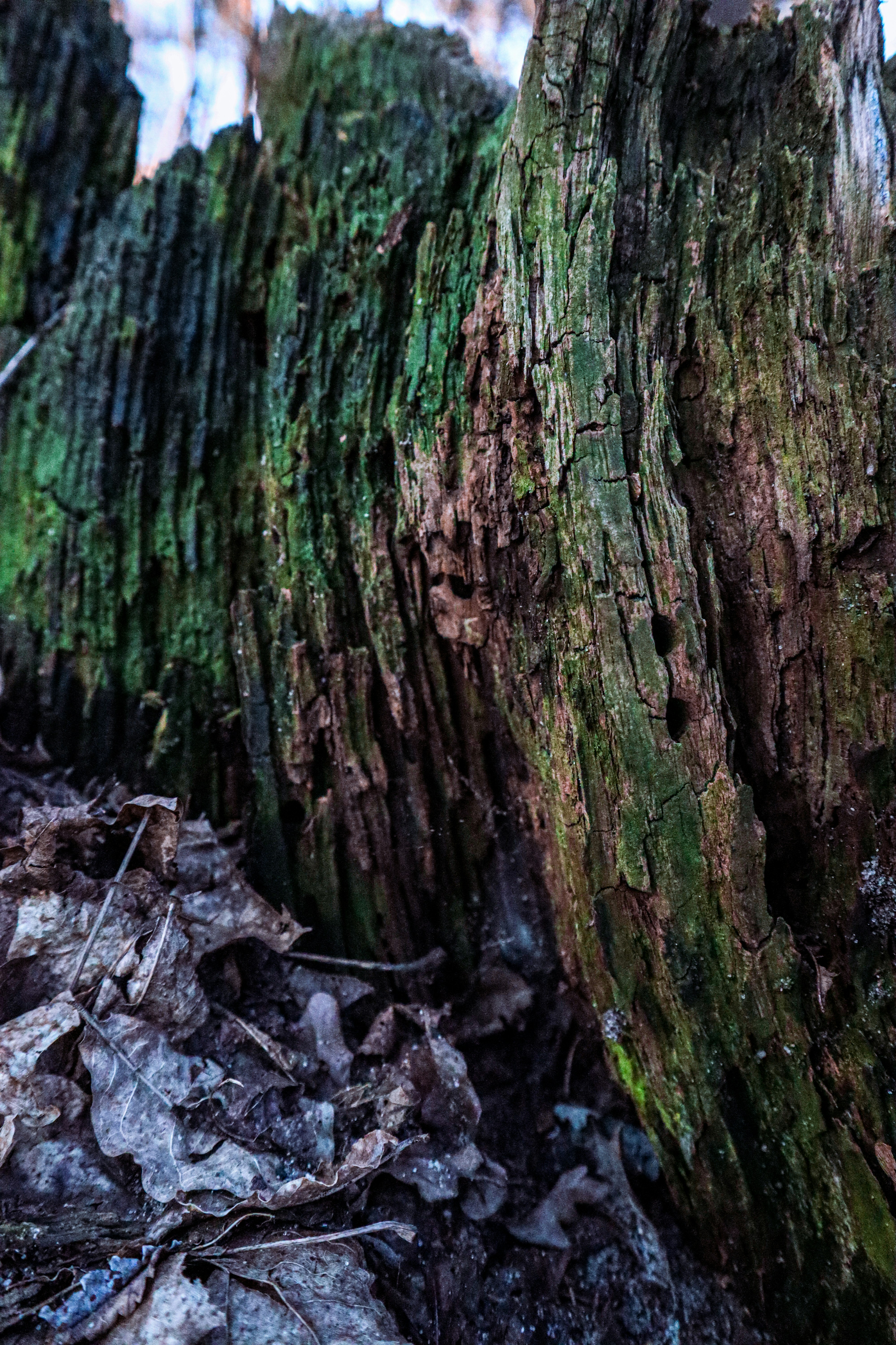 Photo by mugabo_library